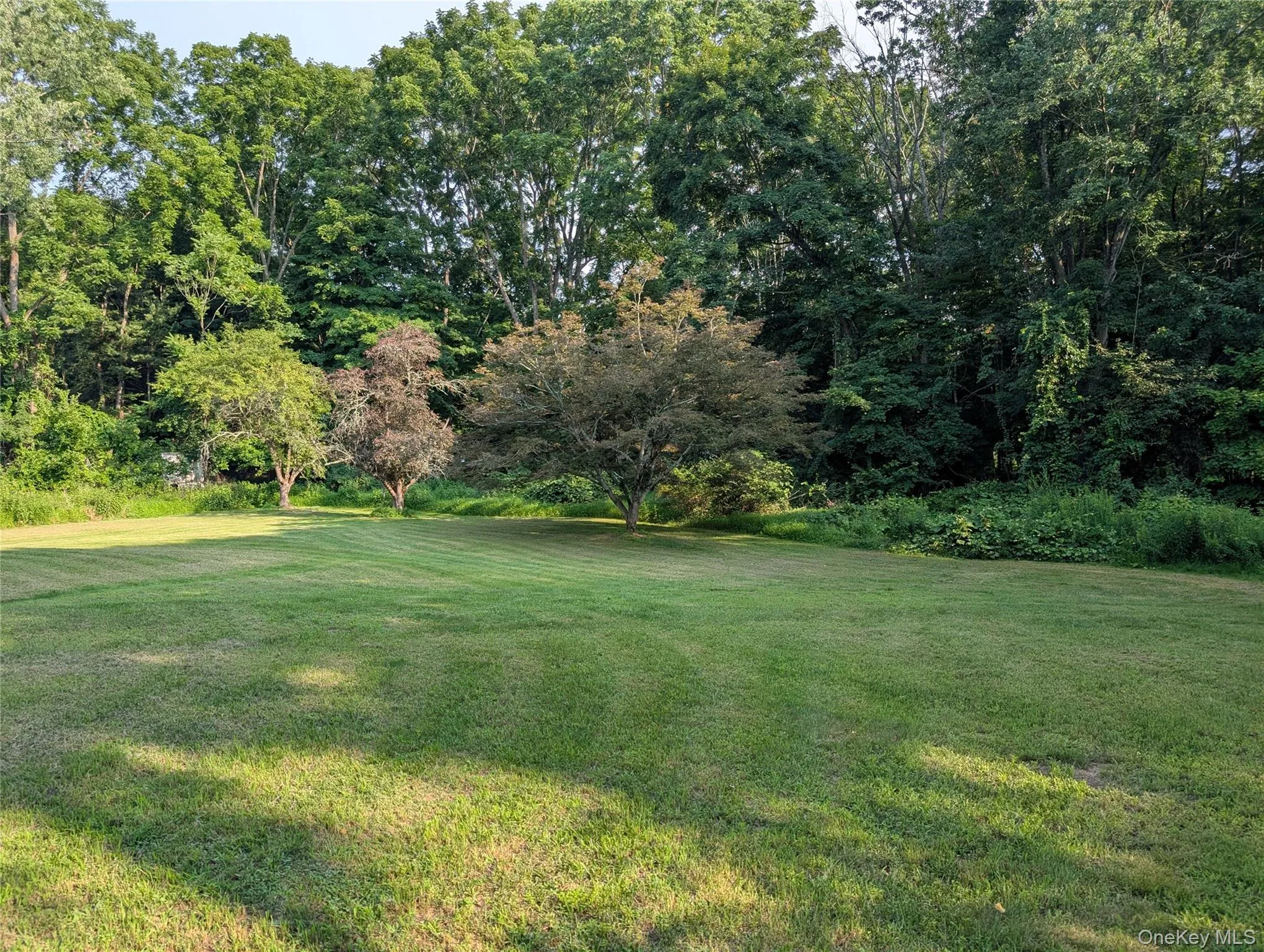 23 Pike Court, Monroe, NY, 3 Bedrooms Bedrooms, 7 Rooms Rooms,2 BathroomsBathrooms,Residential,For Rent,Pike,0,1031523 23 Pike Court, Monroe, NY, 3 Bedrooms Bedrooms, 7 Rooms Rooms,2 BathroomsBathrooms,Residential,For Rent,Pike,0,1031523