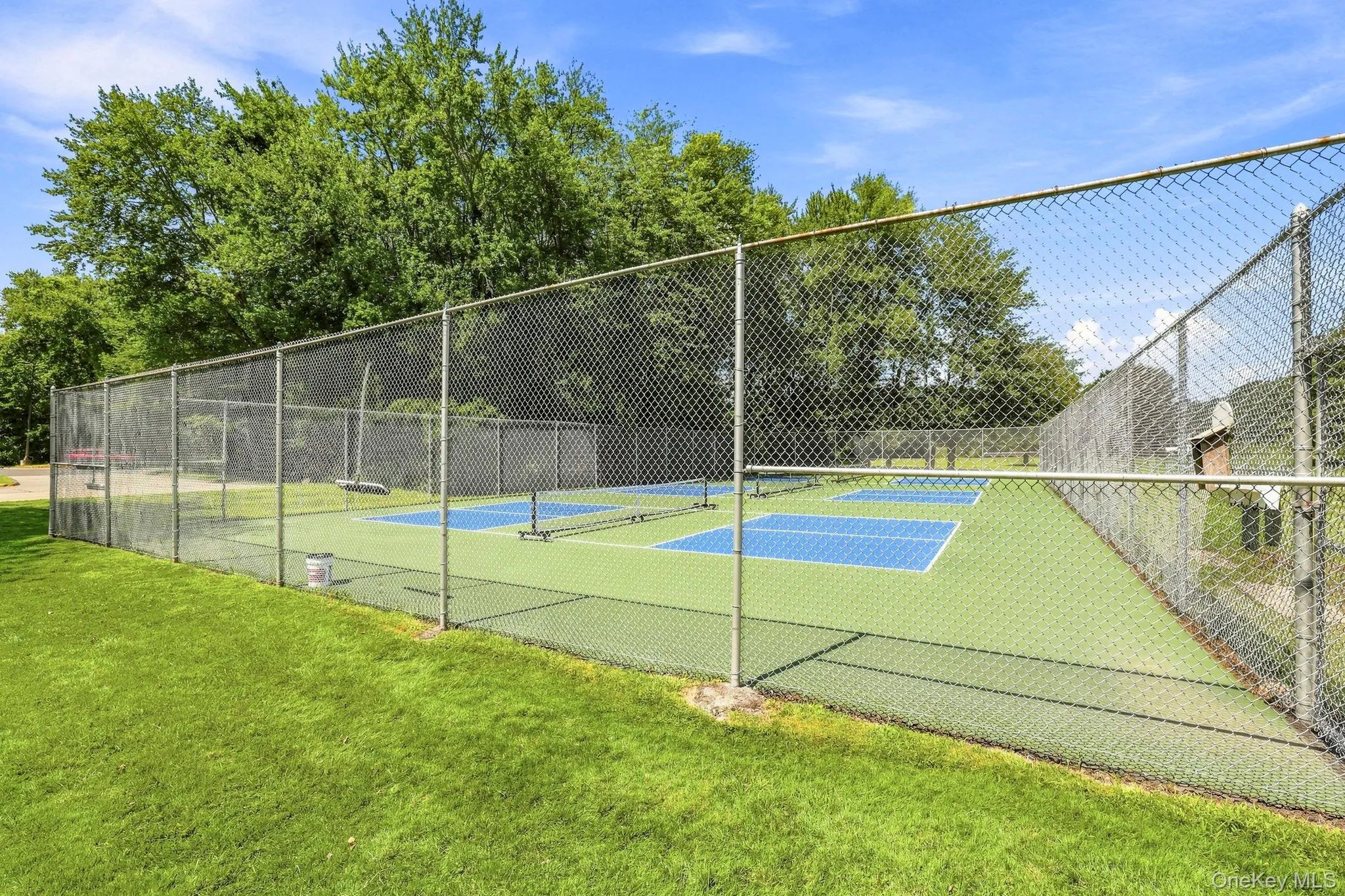 Pickle Ball Court Pickle Ball Court