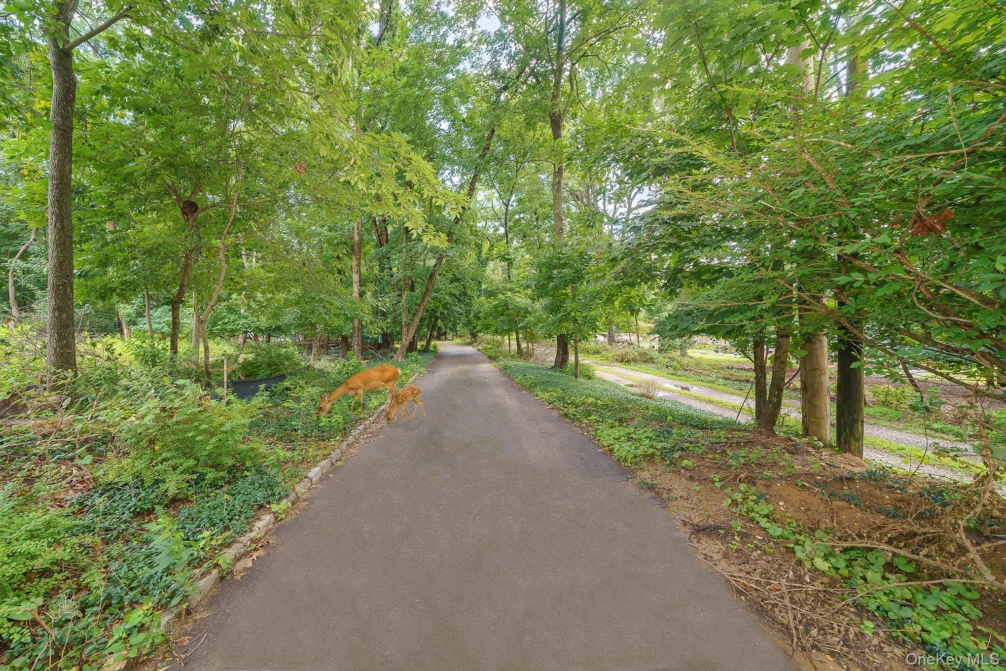 16 Landing Meadow Road, Smithtown, NY, 3 Bedrooms Bedrooms, 8 Rooms Rooms,2 BathroomsBathrooms,Residential,For Rent,Landing Meadow,0,1031558 16 Landing Meadow Road, Smithtown, NY, 3 Bedrooms Bedrooms, 8 Rooms Rooms,2 BathroomsBathrooms,Residential,For Rent,Landing Meadow,0,1031558