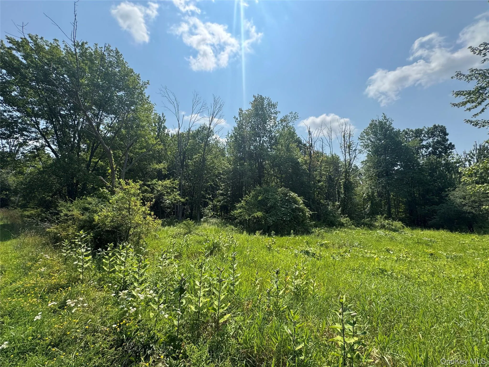 114 Highland Lake Road, Middletown, NY, ,Land,For Rent,Highland Lake,0,1031561 114 Highland Lake Road, Middletown, NY, ,Land,For Rent,Highland Lake,0,1031561