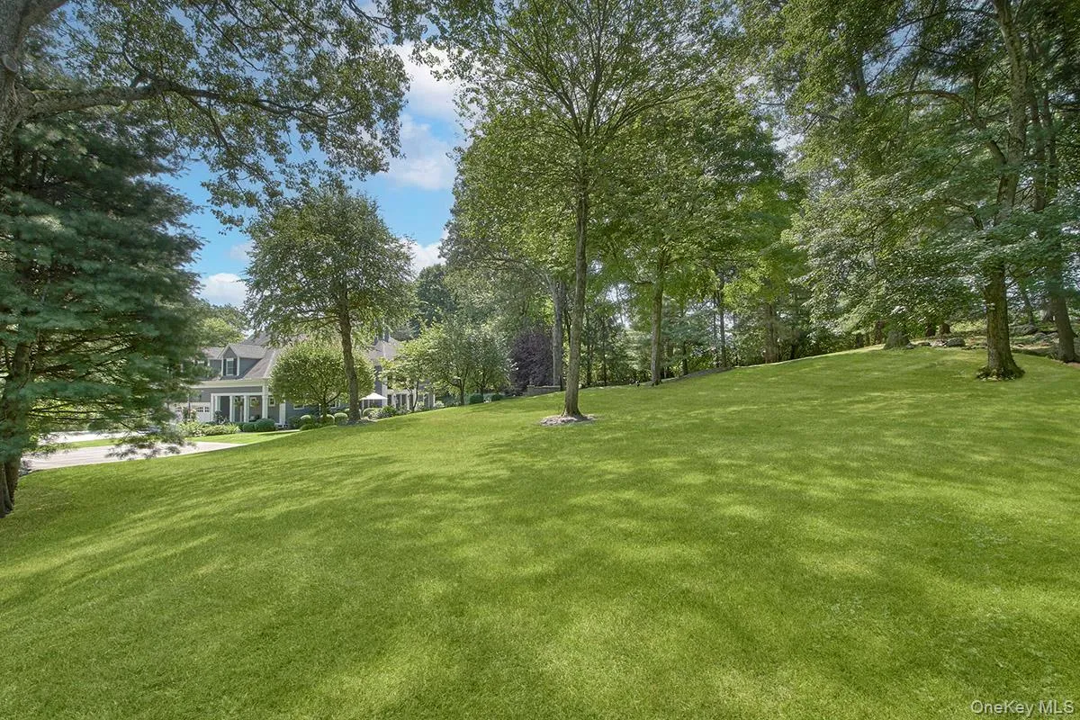 Yard Yard