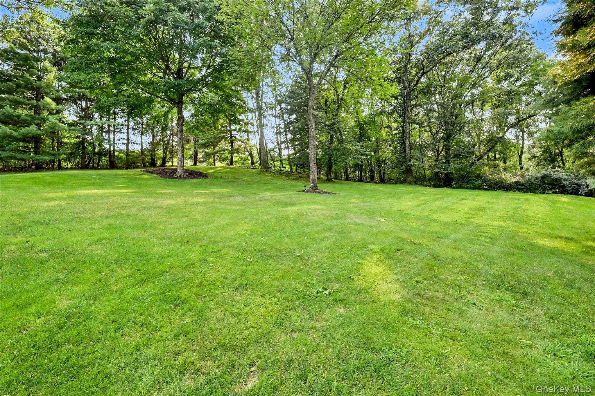 Rear Yard Rear Yard