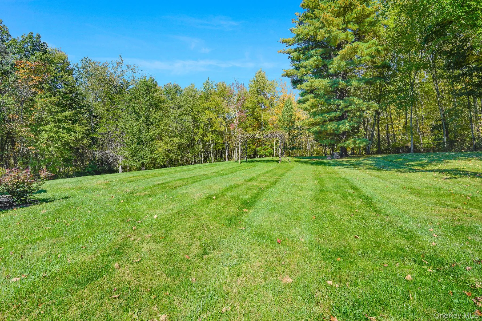 2 fenced acres, anchored by an additional 4.45 wooded acres for total privacy. 2 fenced acres, anchored by an additional 4.45 wooded acres for total privacy.