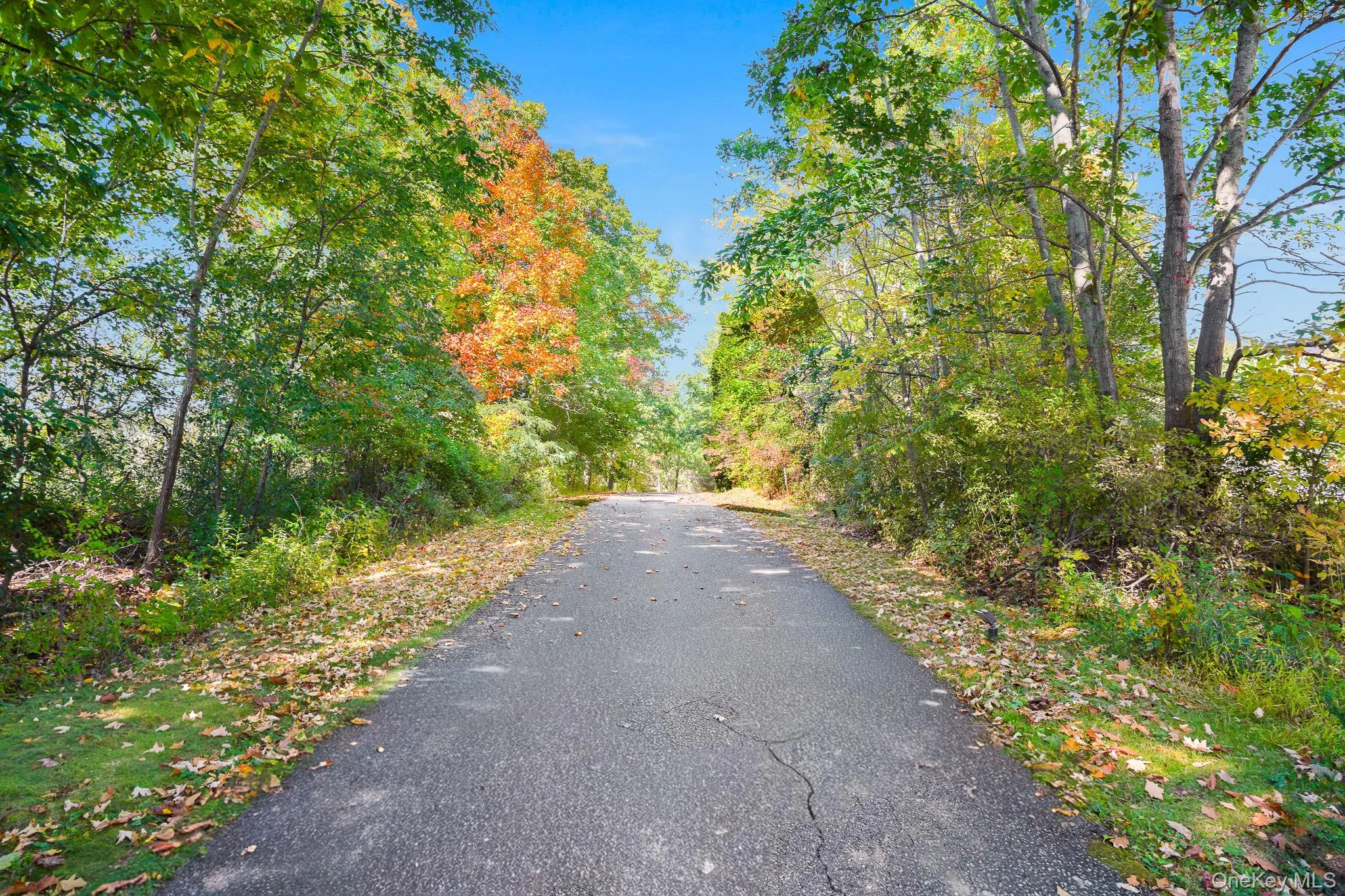 Long driveway, leading from the main road to the front door. Long driveway, leading from the main road to the front door.