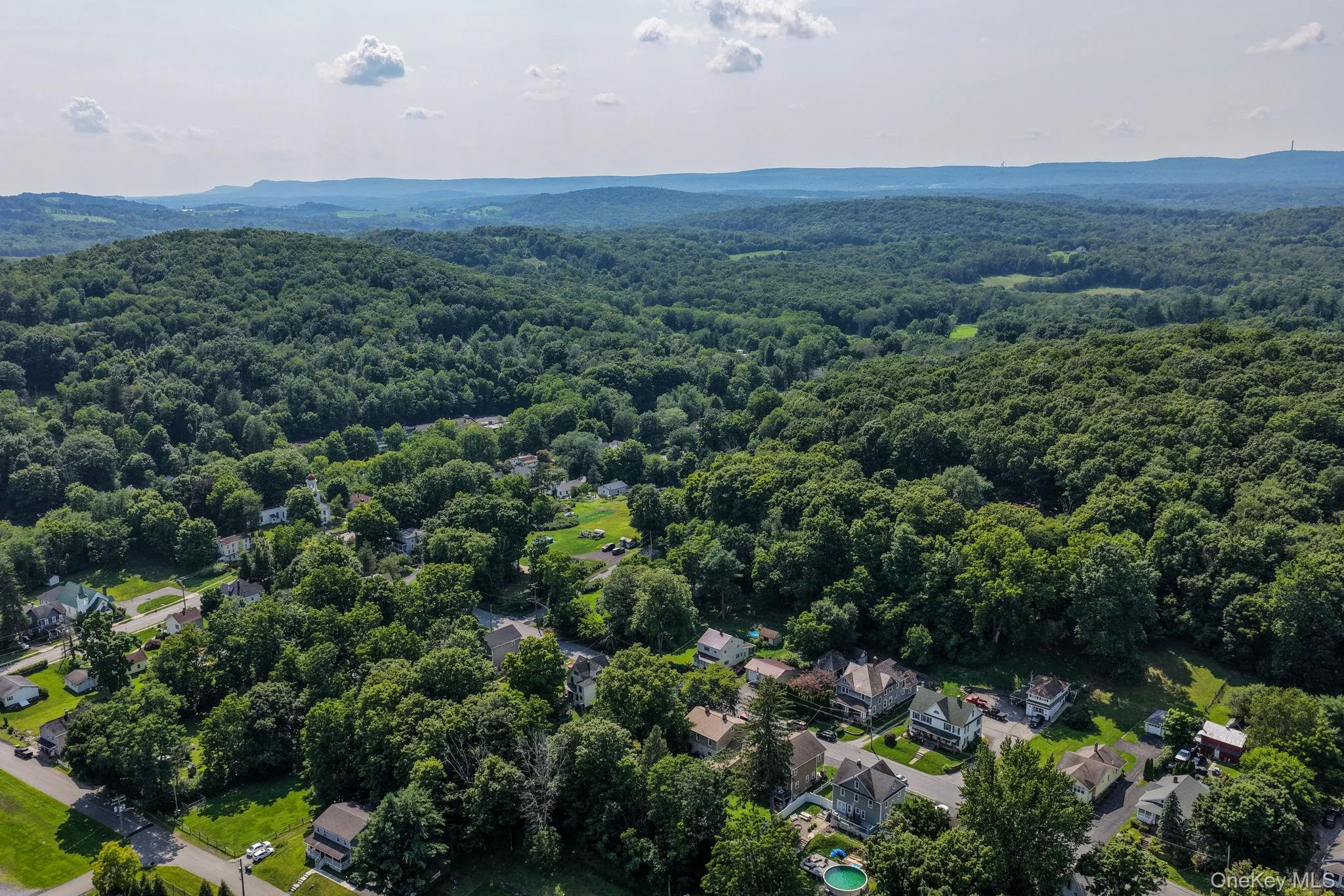 Expansive tree canopy surrounding residential properties Expansive tree canopy surrounding residential properties
