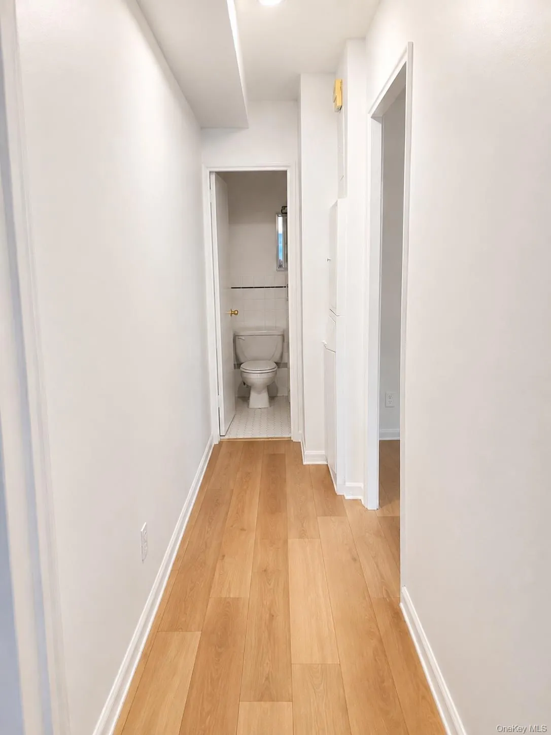 61-55 98th Street, New York, NY, 1 Bedroom Bedrooms, 3 Rooms Rooms,1 BathroomBathrooms,Residential,For Rent,98th,0,1031674 61-55 98th Street, New York, NY, 1 Bedroom Bedrooms, 3 Rooms Rooms,1 BathroomBathrooms,Residential,For Rent,98th,0,1031674