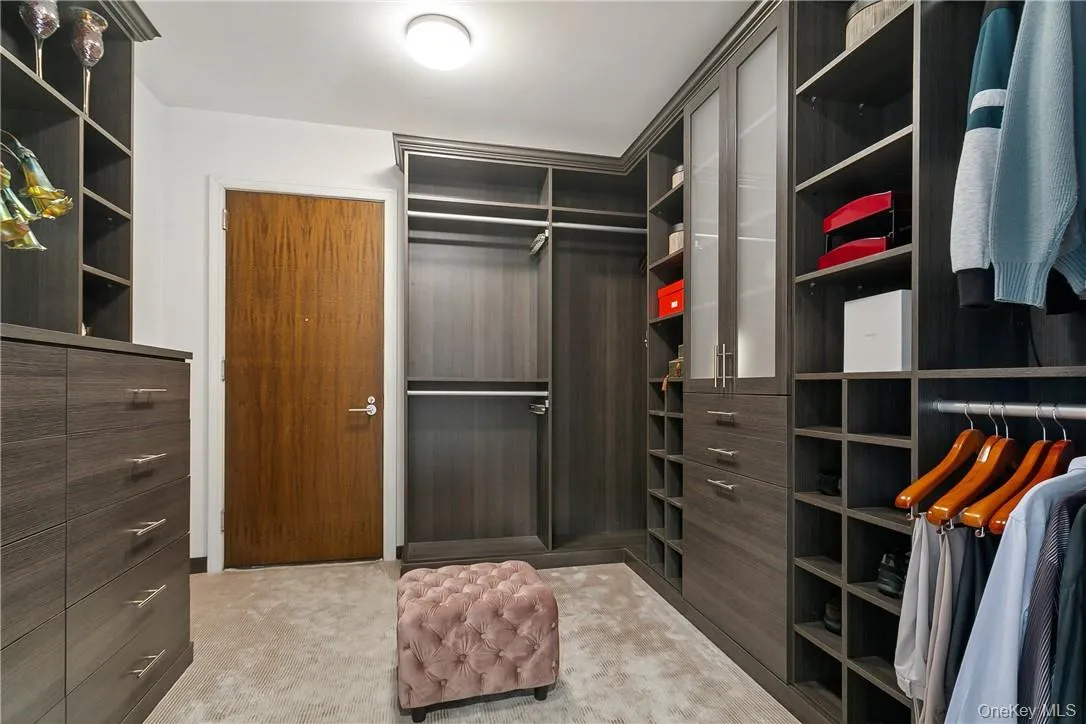 Walk in closet with light colored carpet Walk in closet with light colored carpet