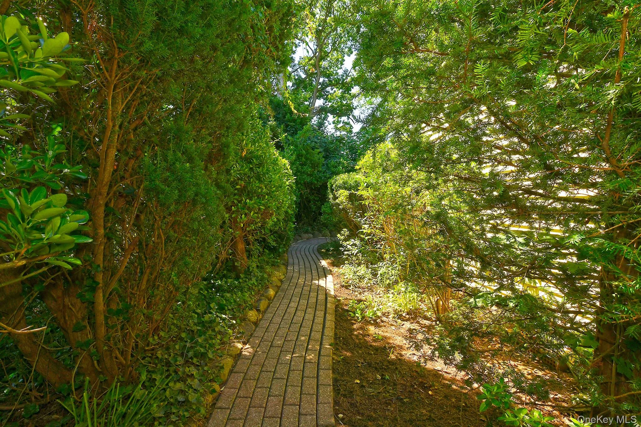 20 Brook Lane, Smithtown, NY, 3 Bedrooms Bedrooms, 6 Rooms Rooms,1 BathroomBathrooms,Residential,For Rent,Brook,0,1031716 20 Brook Lane, Smithtown, NY, 3 Bedrooms Bedrooms, 6 Rooms Rooms,1 BathroomBathrooms,Residential,For Rent,Brook,0,1031716