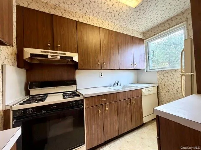 Dishwasher Sold as is condition . Dishwasher Sold as is condition .