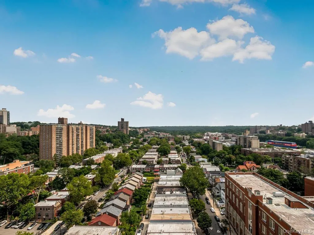 Elevated urban landscape featuring a mix of residential structures and abundant mature trees Elevated urban landscape featuring a mix of residential structures and abundant mature trees