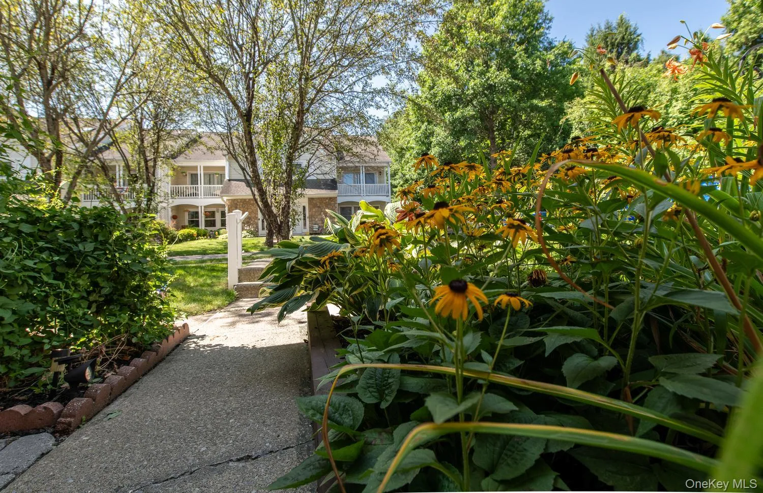Entry with beautiful perrenials. Entry with beautiful perrenials.