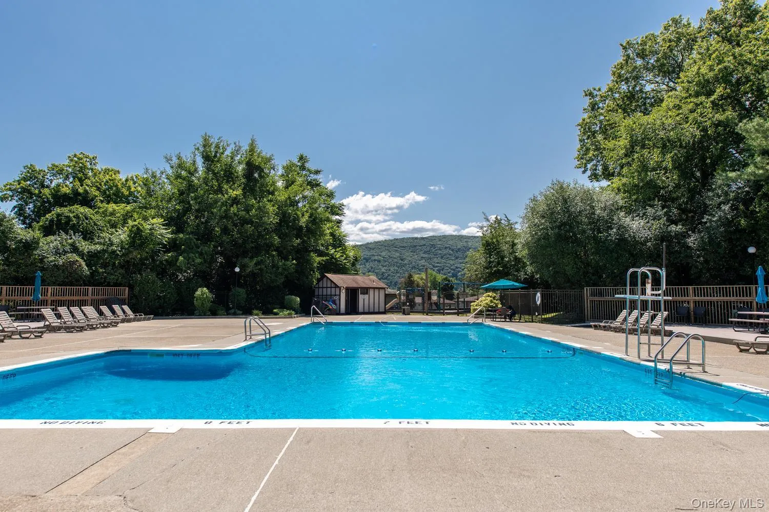 Pool and view. Pool and view.