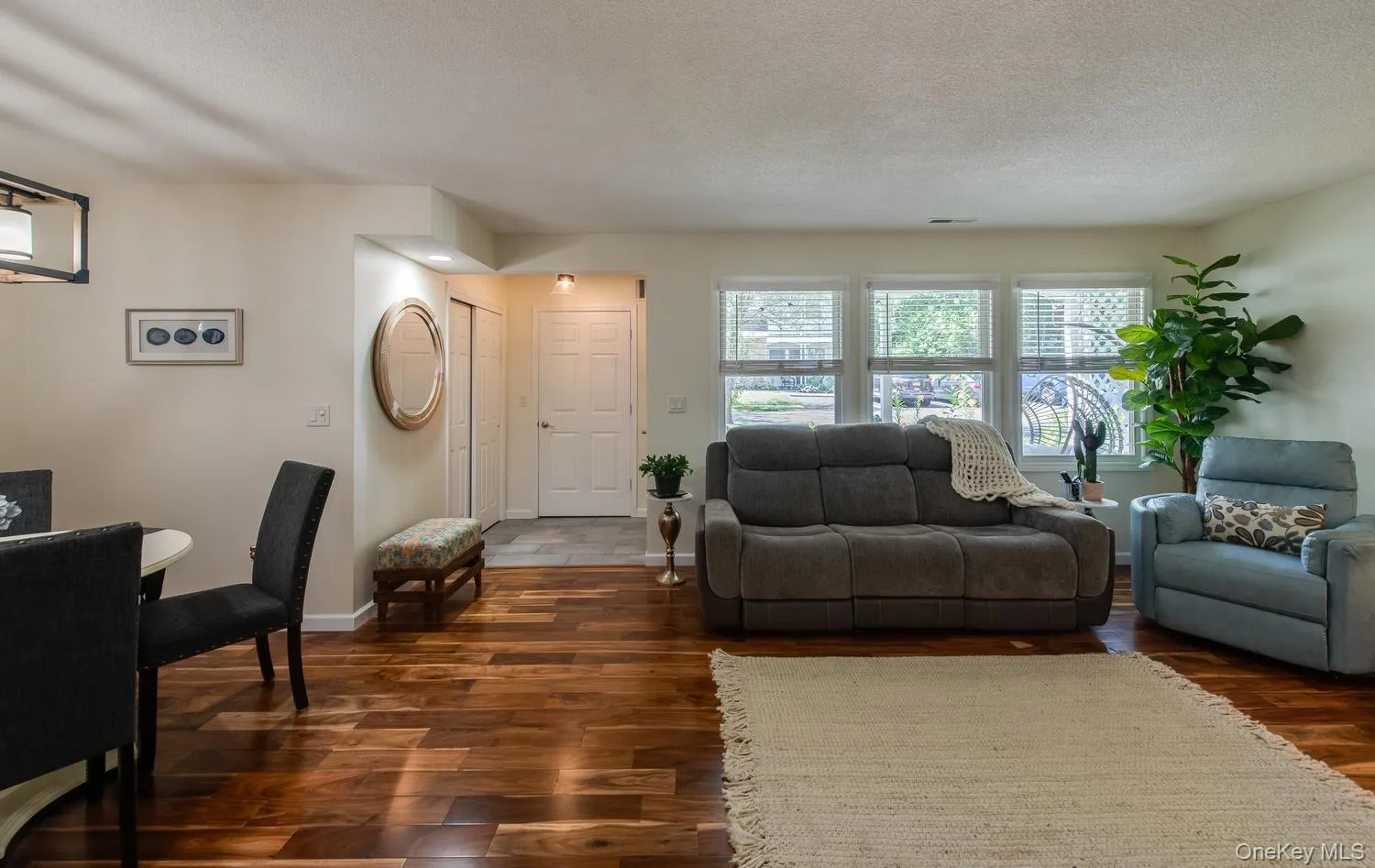 Living room. Living room.
