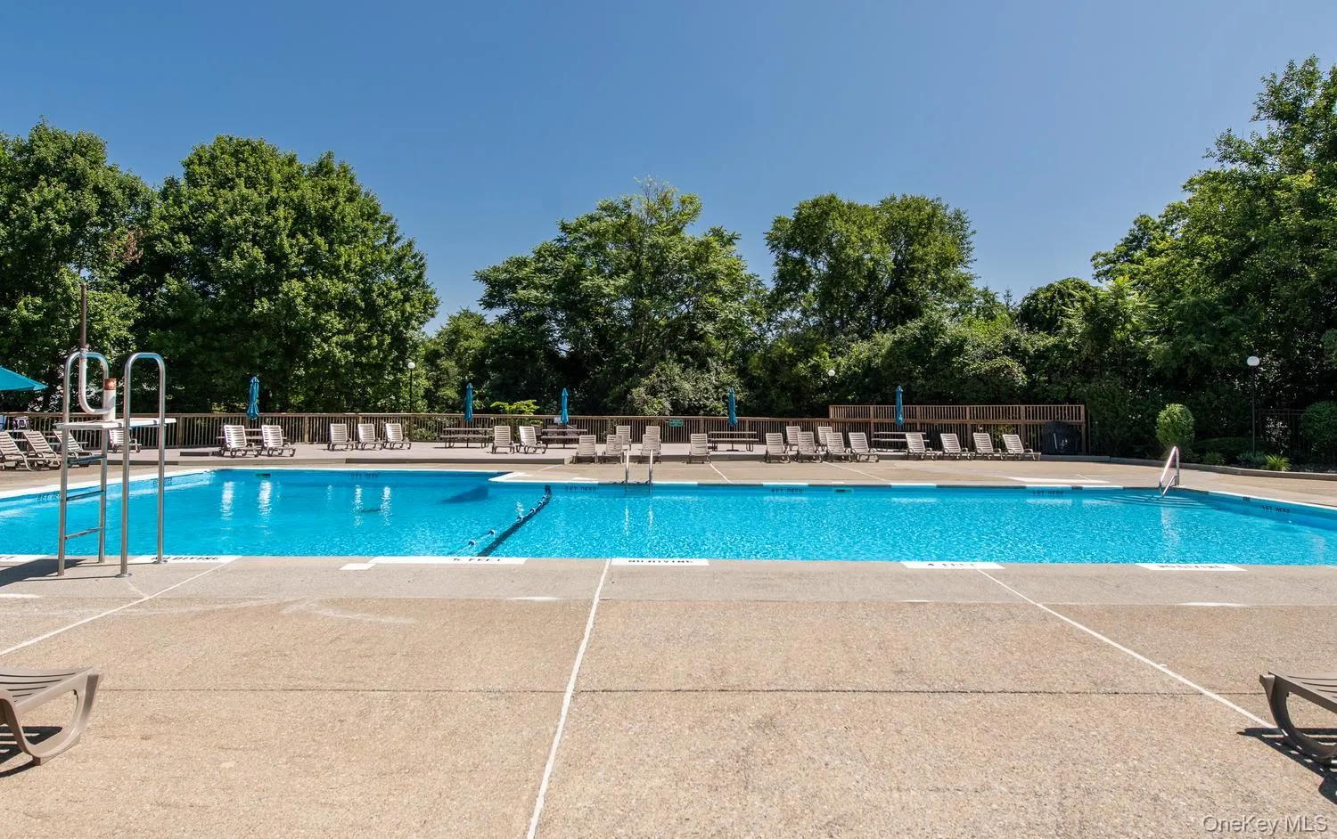 Pool with ample seating. Pool with ample seating.