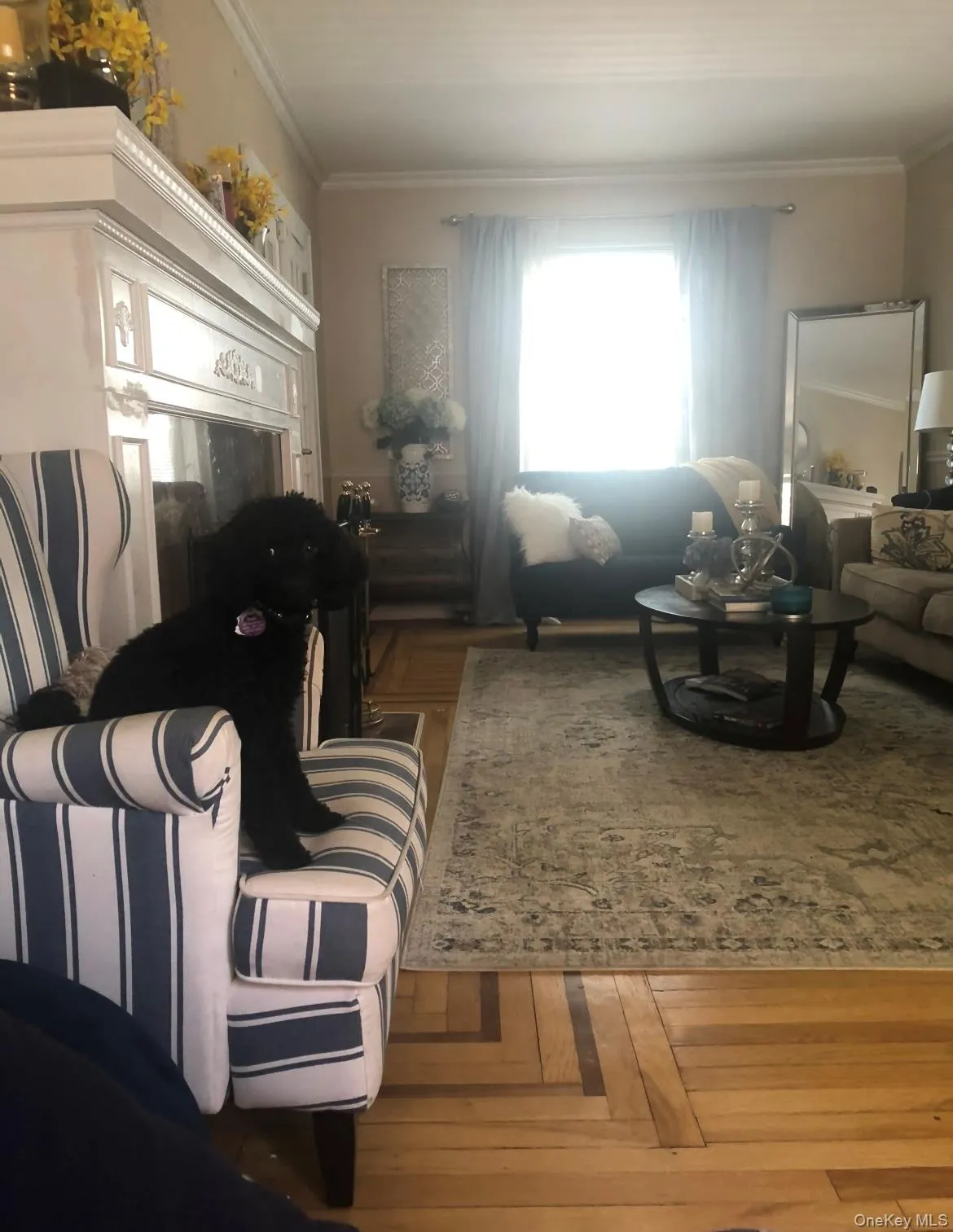 With Fireplace With Fireplace