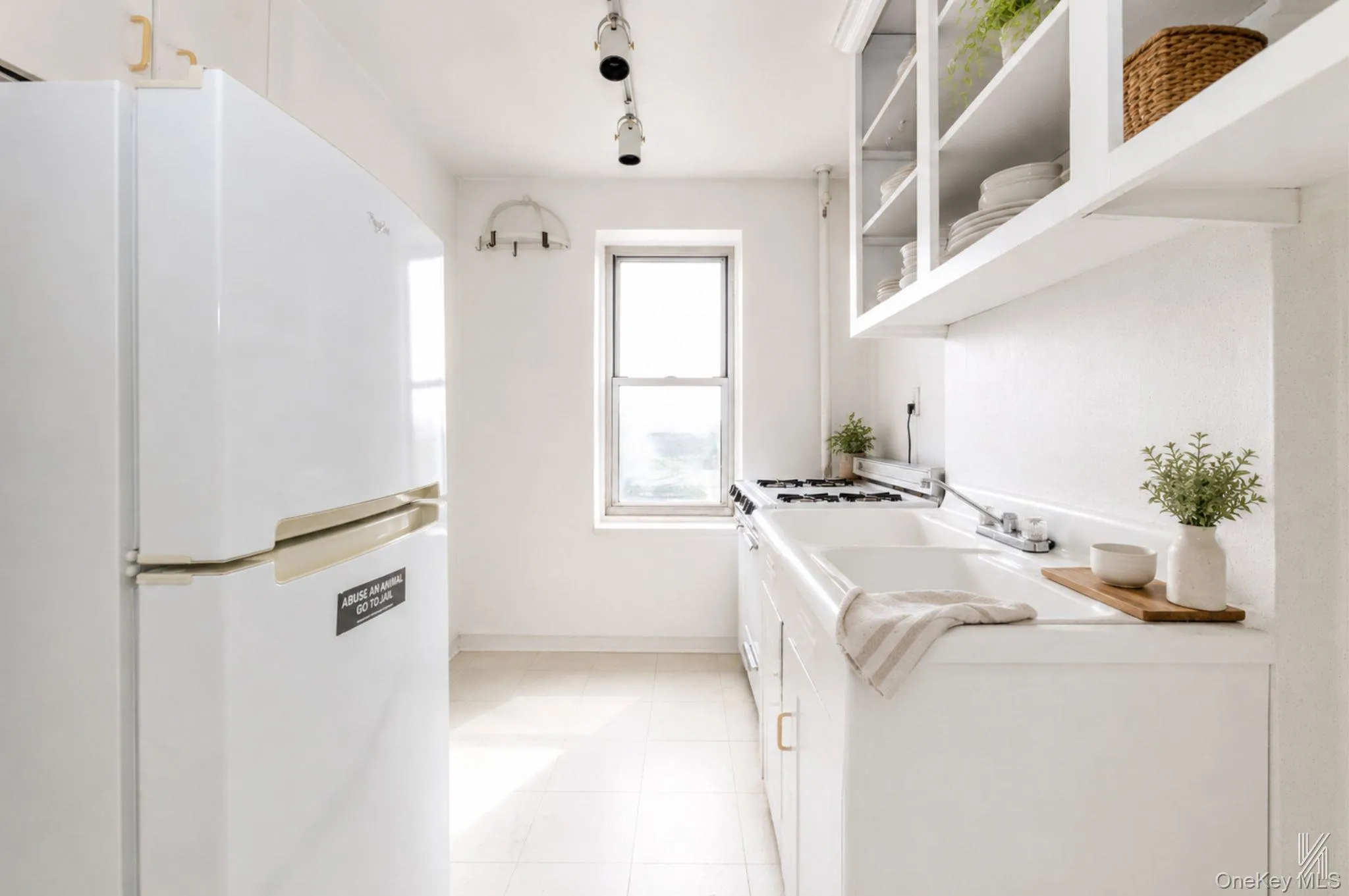 34-41 85th Street, New York, NY, 2 Bedrooms Bedrooms, 5 Rooms Rooms,1 BathroomBathrooms,Residential,For Rent,85th,0,1031870 34-41 85th Street, New York, NY, 2 Bedrooms Bedrooms, 5 Rooms Rooms,1 BathroomBathrooms,Residential,For Rent,85th,0,1031870