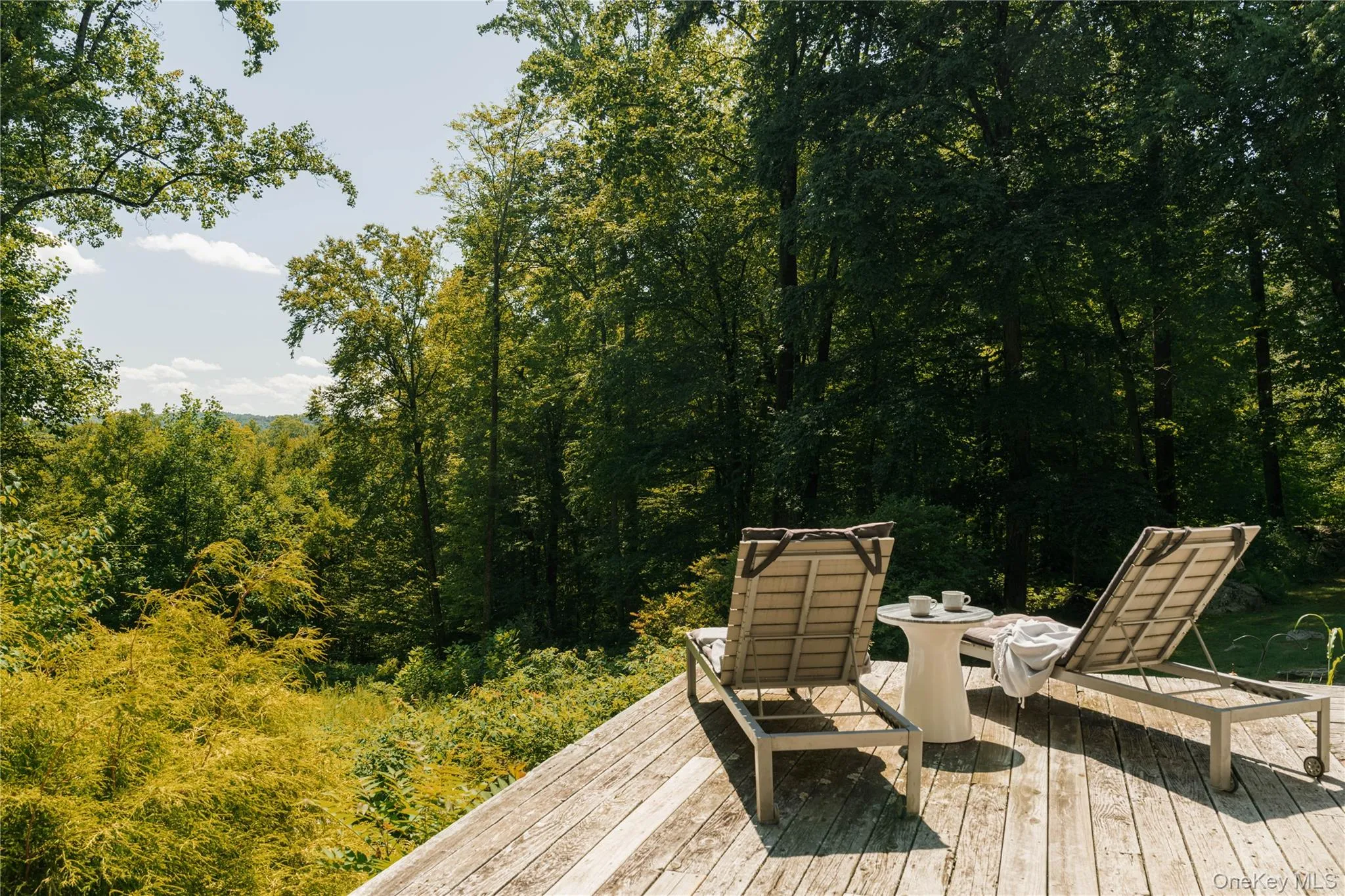238 Rushmore Road, East Fishkill, NY, 2 Bedrooms Bedrooms, 6 Rooms Rooms,1 BathroomBathrooms,Residential,For Rent,Rushmore,0,1031887 238 Rushmore Road, East Fishkill, NY, 2 Bedrooms Bedrooms, 6 Rooms Rooms,1 BathroomBathrooms,Residential,For Rent,Rushmore,0,1031887