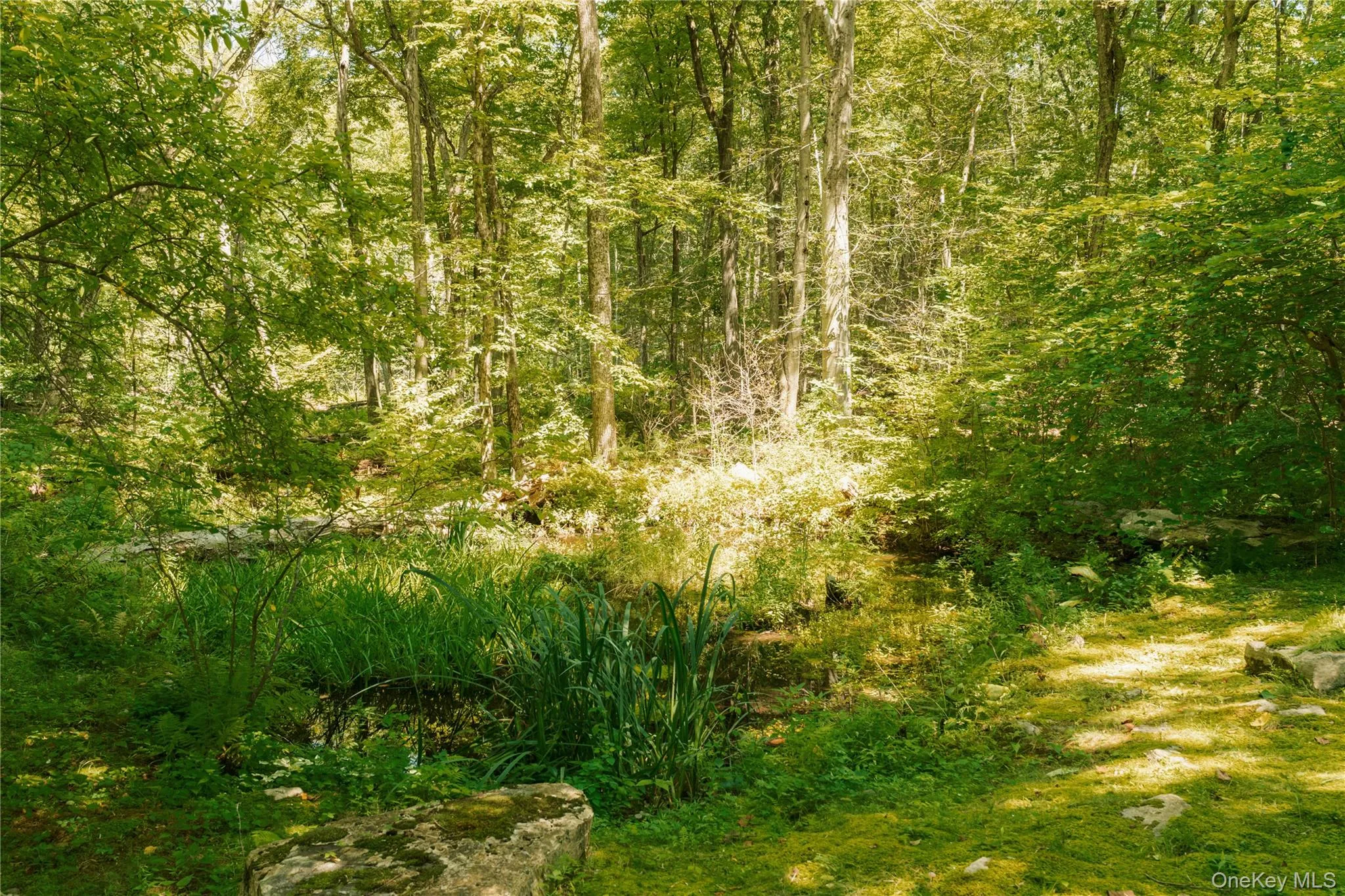 238 Rushmore Road, East Fishkill, NY, 2 Bedrooms Bedrooms, 6 Rooms Rooms,1 BathroomBathrooms,Residential,For Rent,Rushmore,0,1031887 238 Rushmore Road, East Fishkill, NY, 2 Bedrooms Bedrooms, 6 Rooms Rooms,1 BathroomBathrooms,Residential,For Rent,Rushmore,0,1031887