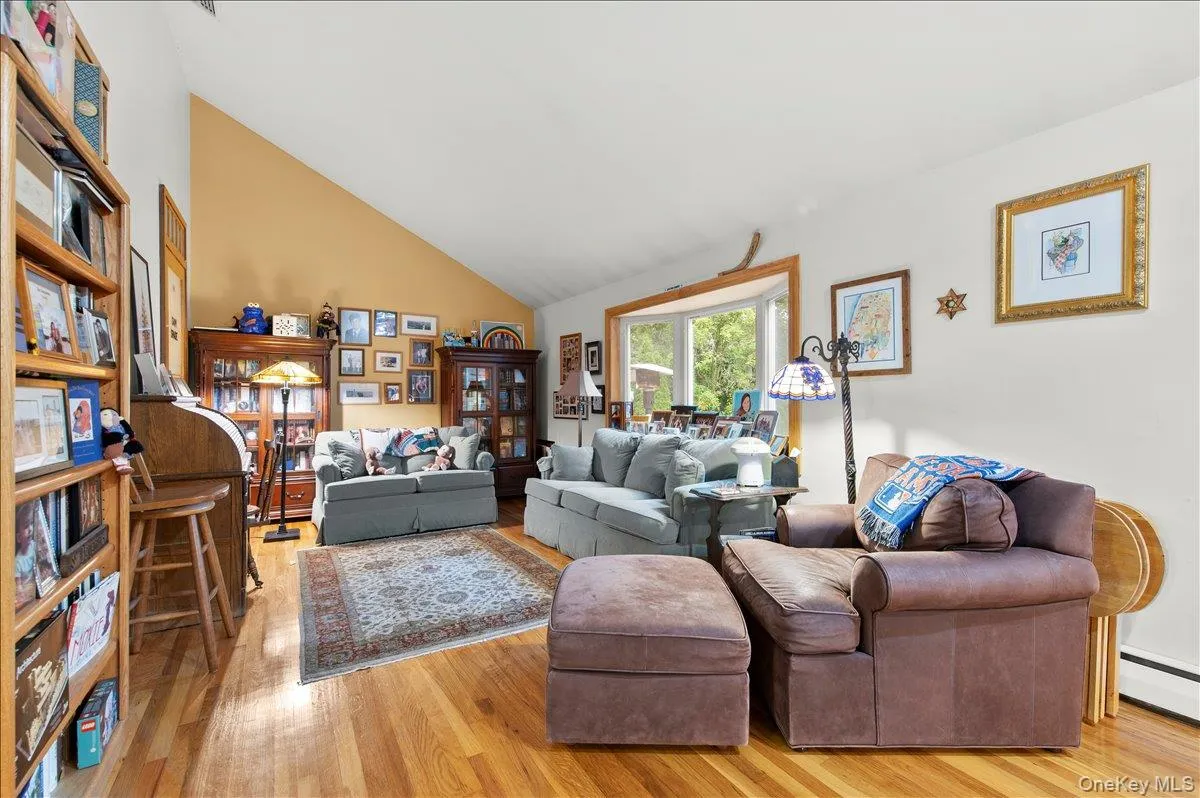 Large Living Room! Large Living Room!