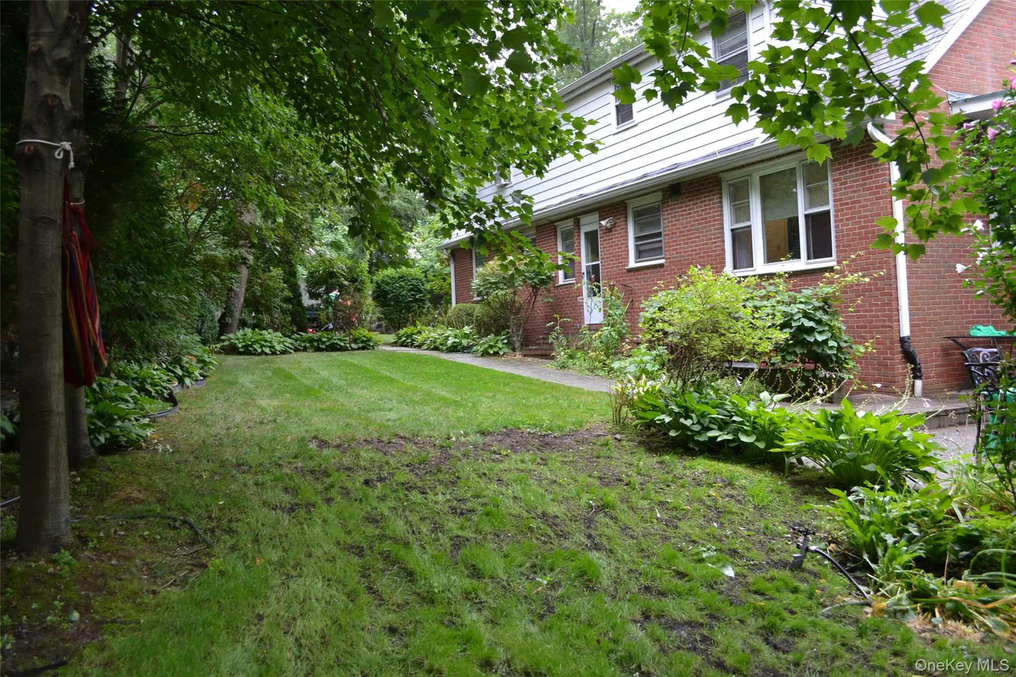 backyard from kitchen's door backyard from kitchen's door