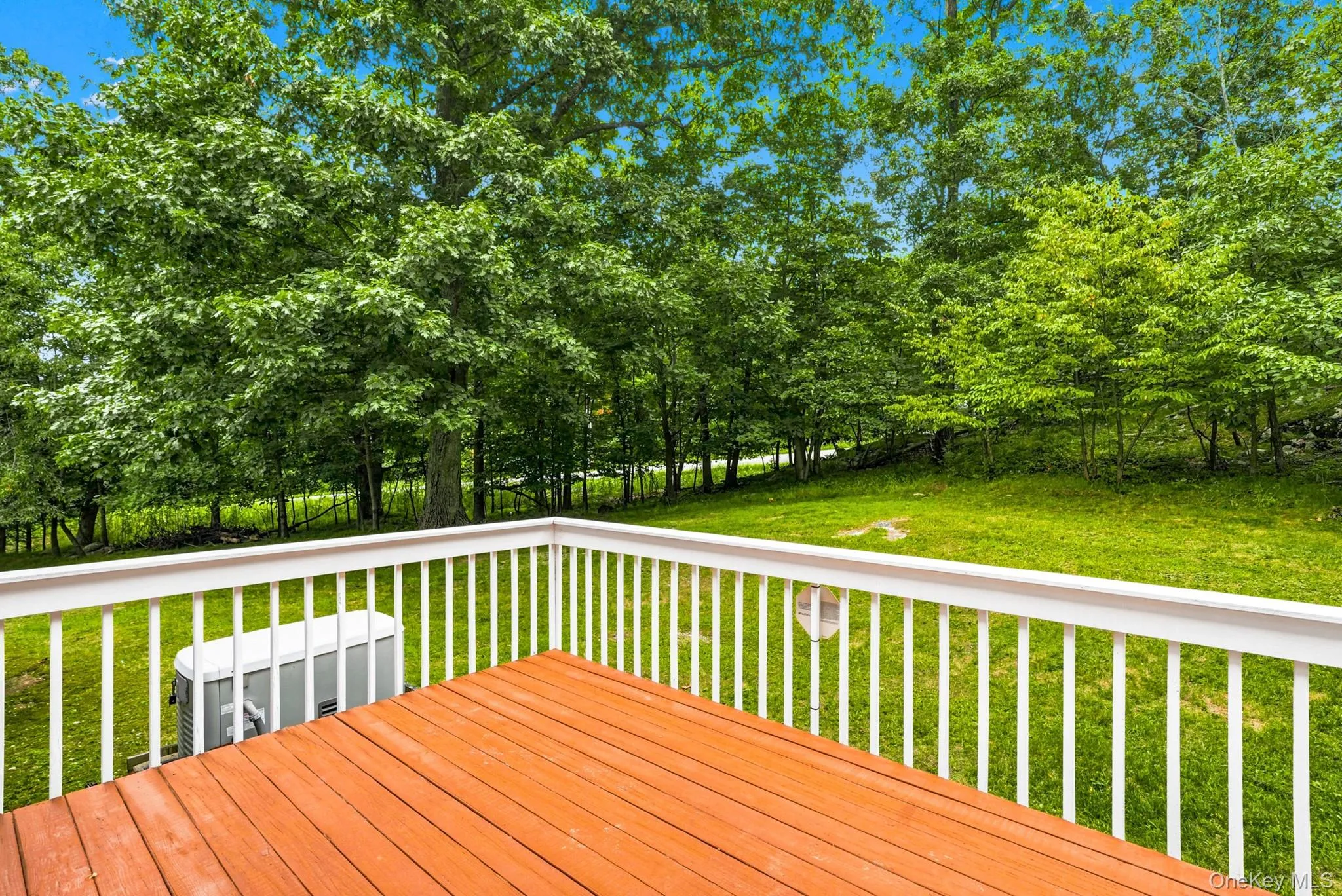 17 Terry Road, Monroe, NY, 3 Bedrooms Bedrooms, 7 Rooms Rooms,2 BathroomsBathrooms,Residential,For Rent,Terry,0,1032028 17 Terry Road, Monroe, NY, 3 Bedrooms Bedrooms, 7 Rooms Rooms,2 BathroomsBathrooms,Residential,For Rent,Terry,0,1032028