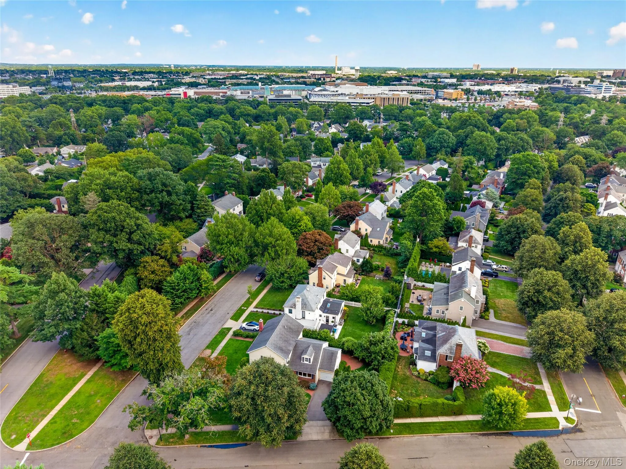 Established neighborhood featuring mature tree-lined streets, residential properties with private yards, and a distant urban skyline Established neighborhood featuring mature tree-lined streets, residential properties with private yards, and a distant urban skyline