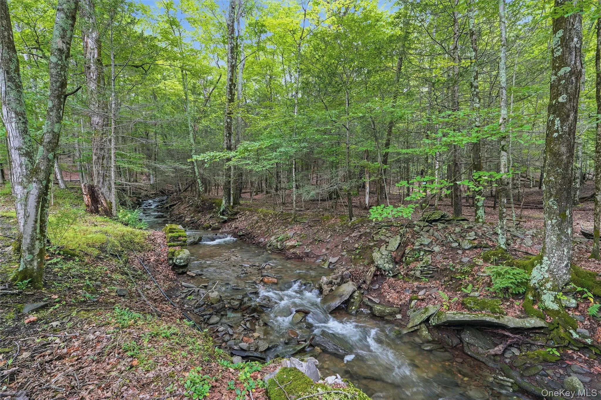 2320 Glasco Turnpike, Woodstock, NY, 8 Bedrooms Bedrooms, 17 Rooms Rooms,5 BathroomsBathrooms,Residential,For Rent,Glasco,0,1032089 2320 Glasco Turnpike, Woodstock, NY, 8 Bedrooms Bedrooms, 17 Rooms Rooms,5 BathroomsBathrooms,Residential,For Rent,Glasco,0,1032089