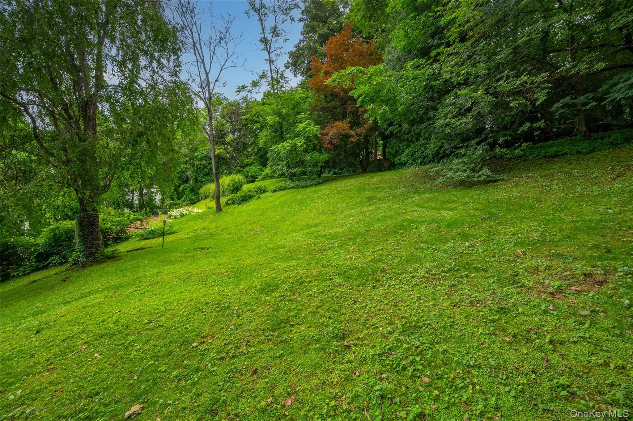 1108 Post Road, Scarsdale, NY, 4 Bedrooms Bedrooms, 9 Rooms Rooms,4 BathroomsBathrooms,Residential,For Rent,Post,0,1032104 1108 Post Road, Scarsdale, NY, 4 Bedrooms Bedrooms, 9 Rooms Rooms,4 BathroomsBathrooms,Residential,For Rent,Post,0,1032104