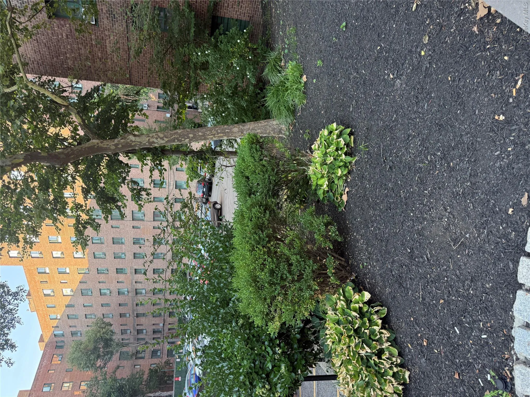 11 metropolitan Oval, New York, NY, 2 Bedrooms Bedrooms, 5 Rooms Rooms,1 BathroomBathrooms,Residential,For Rent,metropolitan,0,1032131 11 metropolitan Oval, New York, NY, 2 Bedrooms Bedrooms, 5 Rooms Rooms,1 BathroomBathrooms,Residential,For Rent,metropolitan,0,1032131