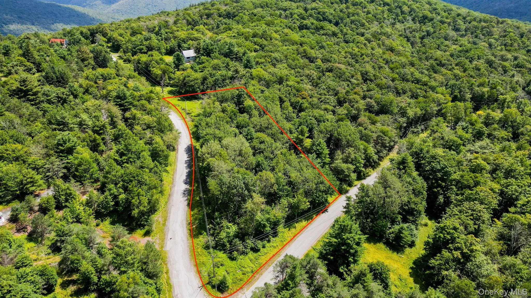 00 Red Hill Knolls Road, Denning, NY, ,Land,For Rent,Red Hill Knolls,0,1032151 00 Red Hill Knolls Road, Denning, NY, ,Land,For Rent,Red Hill Knolls,0,1032151