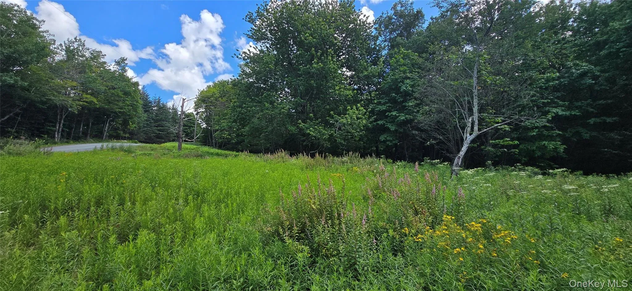 00 Red Hill Knolls Road, Denning, NY, ,Land,For Rent,Red Hill Knolls,0,1032151 00 Red Hill Knolls Road, Denning, NY, ,Land,For Rent,Red Hill Knolls,0,1032151