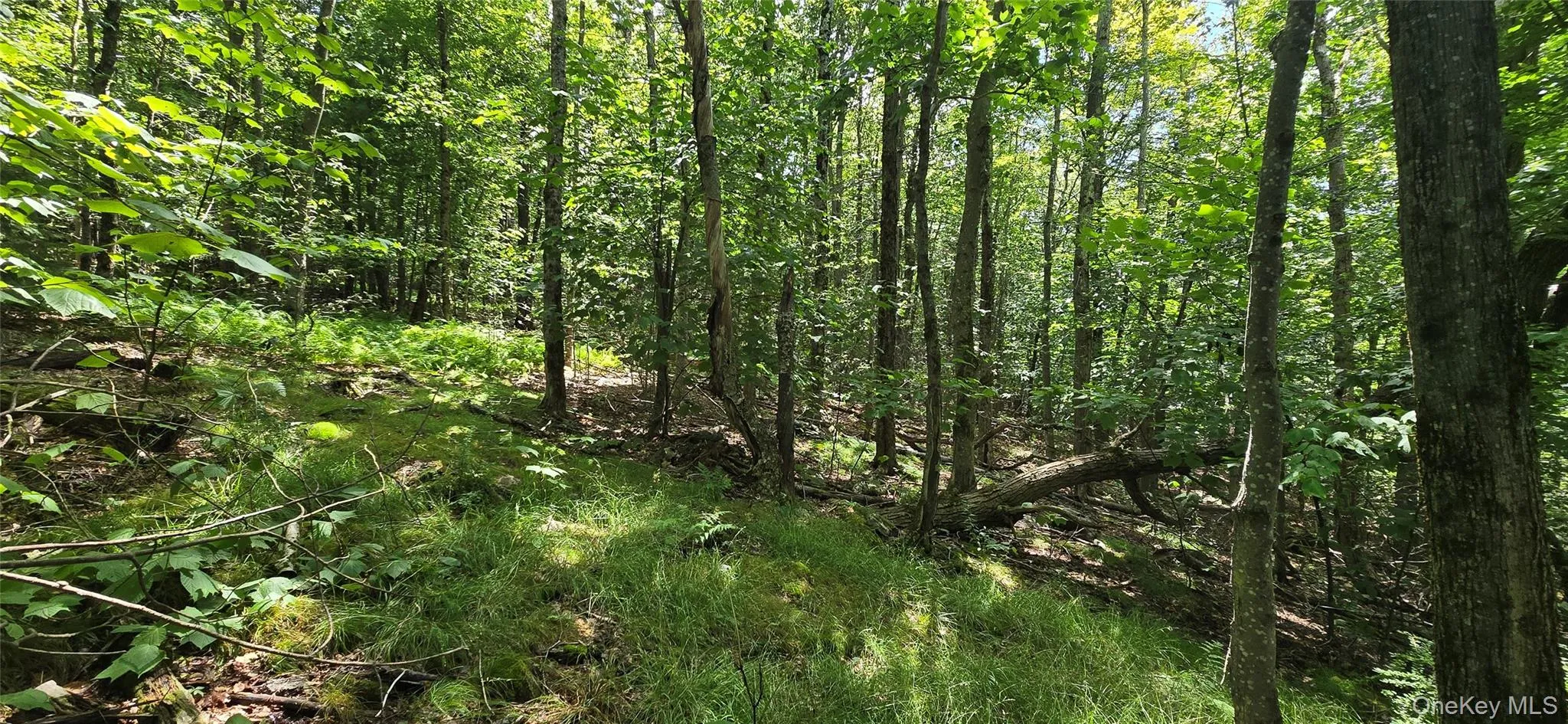 00 Red Hill Knolls Road, Denning, NY, ,Land,For Rent,Red Hill Knolls,0,1032151 00 Red Hill Knolls Road, Denning, NY, ,Land,For Rent,Red Hill Knolls,0,1032151