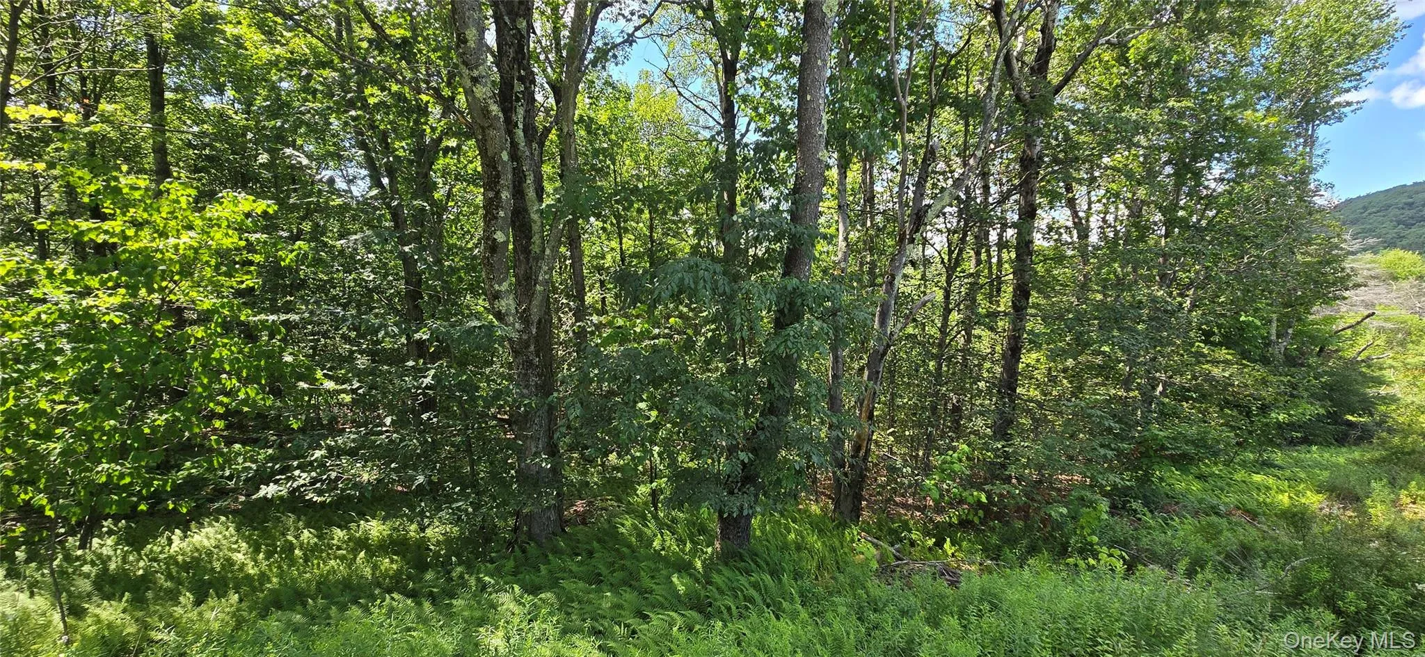00 Red Hill Knolls Road, Denning, NY, ,Land,For Rent,Red Hill Knolls,0,1032151 00 Red Hill Knolls Road, Denning, NY, ,Land,For Rent,Red Hill Knolls,0,1032151