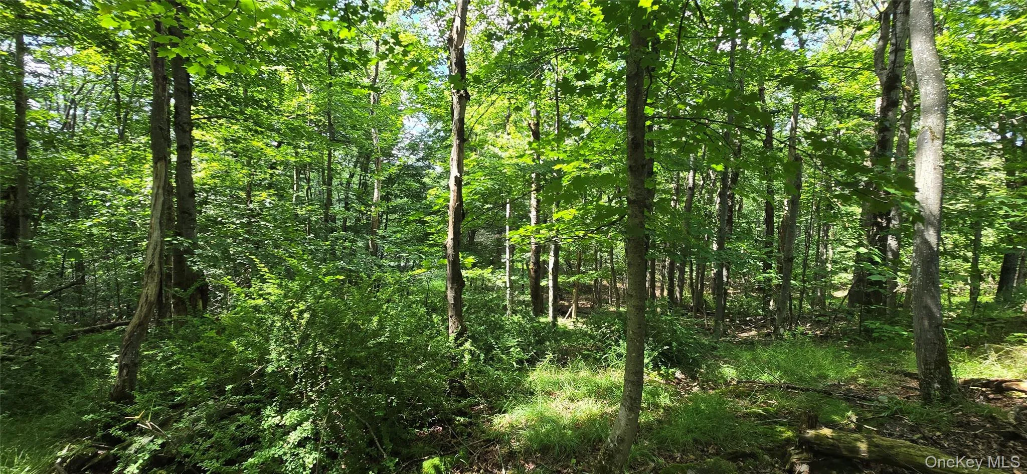 00 Red Hill Knolls Road, Denning, NY, ,Land,For Rent,Red Hill Knolls,0,1032151 00 Red Hill Knolls Road, Denning, NY, ,Land,For Rent,Red Hill Knolls,0,1032151