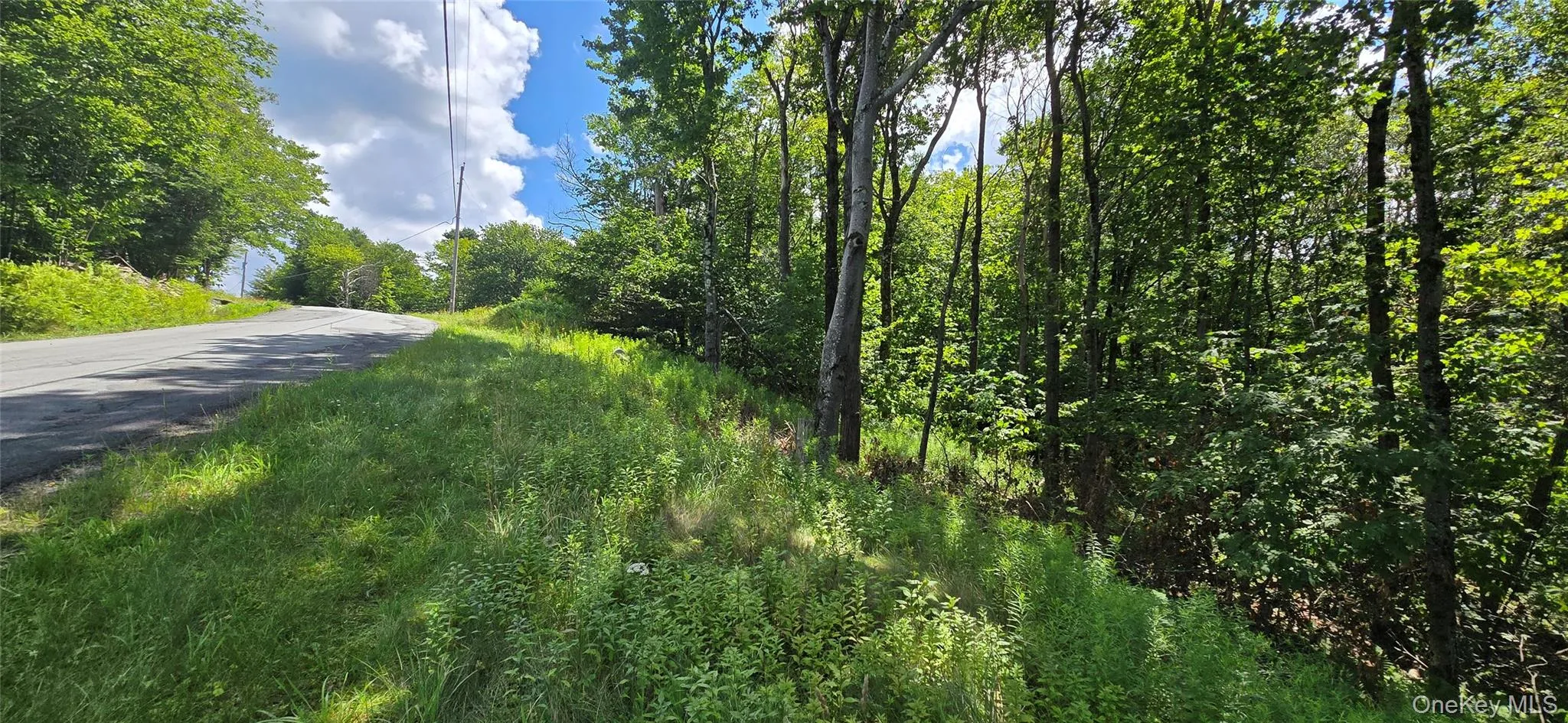 00 Red Hill Knolls Road, Denning, NY, ,Land,For Rent,Red Hill Knolls,0,1032151 00 Red Hill Knolls Road, Denning, NY, ,Land,For Rent,Red Hill Knolls,0,1032151