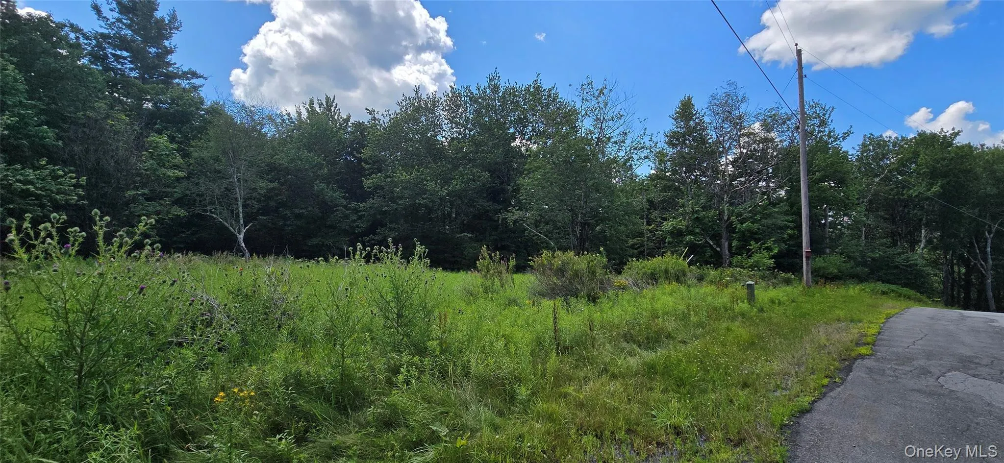 00 Red Hill Knolls Road, Denning, NY, ,Land,For Rent,Red Hill Knolls,0,1032151 00 Red Hill Knolls Road, Denning, NY, ,Land,For Rent,Red Hill Knolls,0,1032151