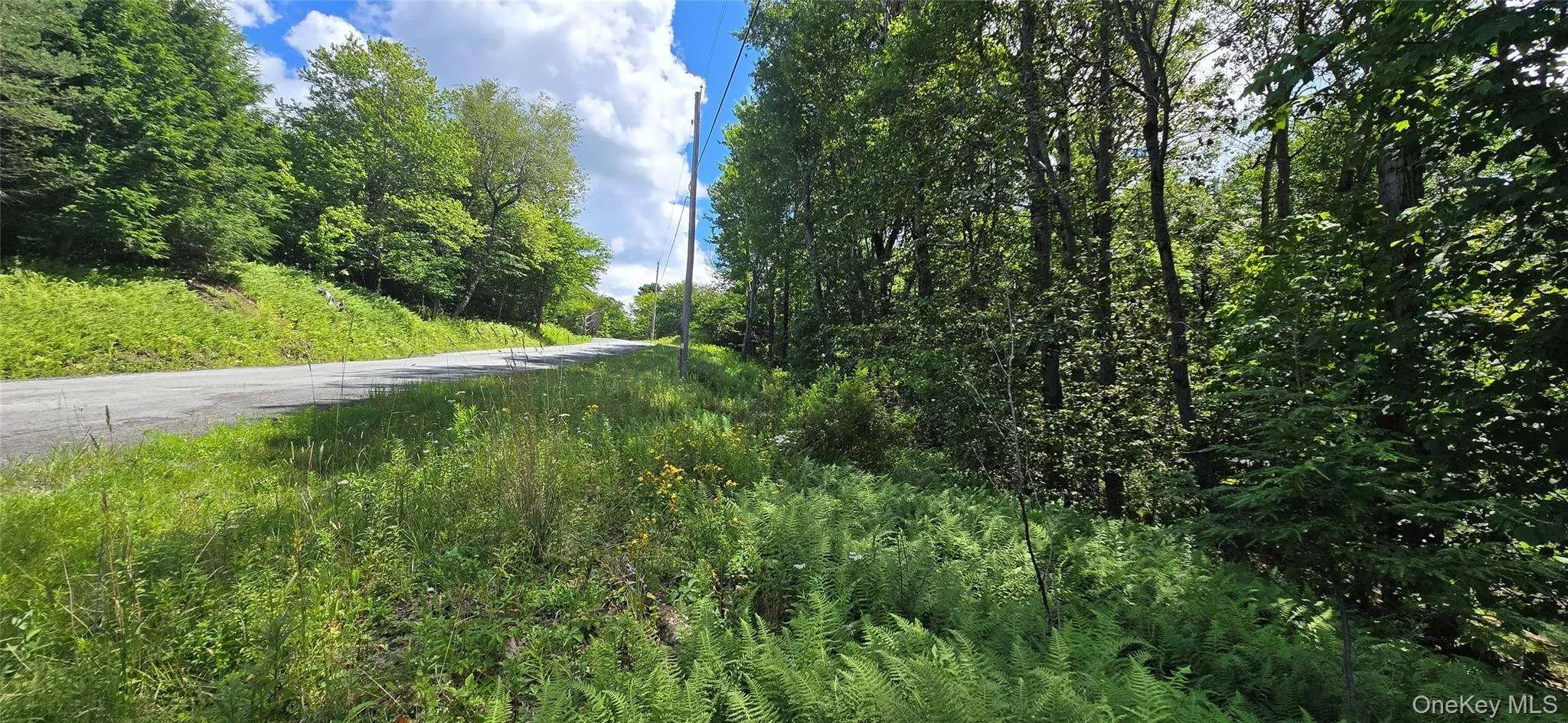00 Red Hill Knolls Road, Denning, NY, ,Land,For Rent,Red Hill Knolls,0,1032151 00 Red Hill Knolls Road, Denning, NY, ,Land,For Rent,Red Hill Knolls,0,1032151