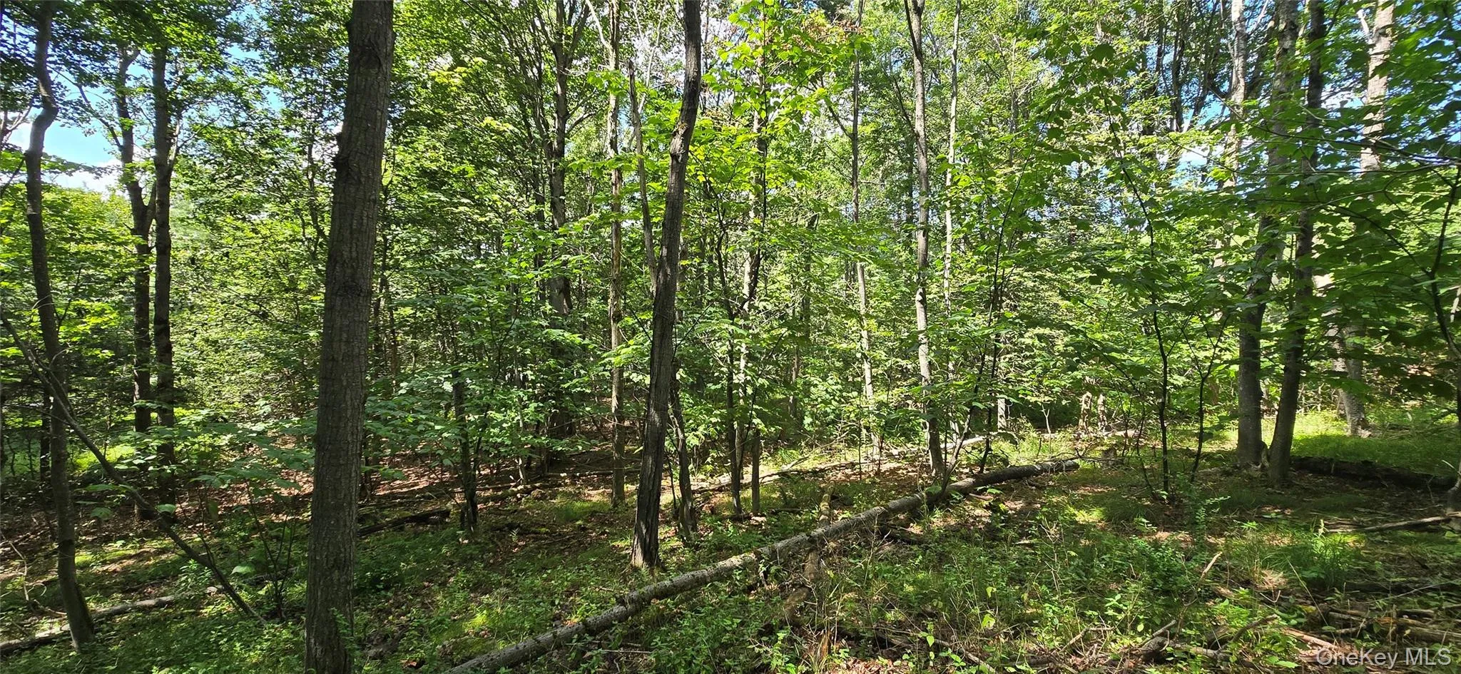 00 Red Hill Knolls Road, Denning, NY, ,Land,For Rent,Red Hill Knolls,0,1032151 00 Red Hill Knolls Road, Denning, NY, ,Land,For Rent,Red Hill Knolls,0,1032151