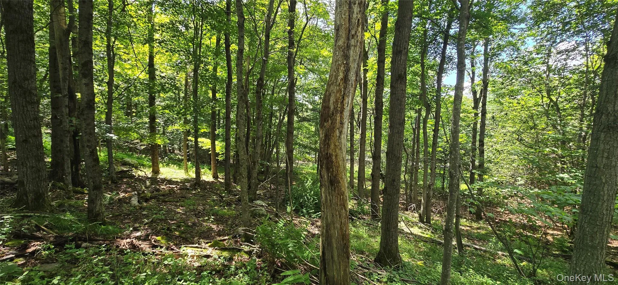00 Red Hill Knolls Road, Denning, NY, ,Land,For Rent,Red Hill Knolls,0,1032151 00 Red Hill Knolls Road, Denning, NY, ,Land,For Rent,Red Hill Knolls,0,1032151