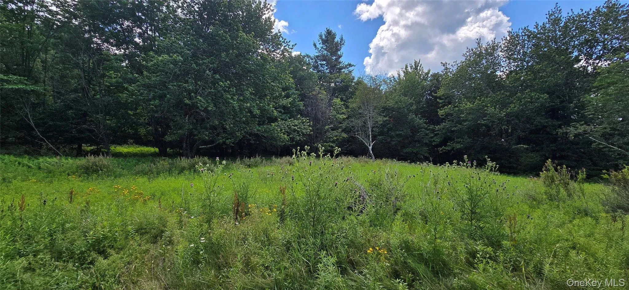 00 Red Hill Knolls Road, Denning, NY, ,Land,For Rent,Red Hill Knolls,0,1032151 00 Red Hill Knolls Road, Denning, NY, ,Land,For Rent,Red Hill Knolls,0,1032151