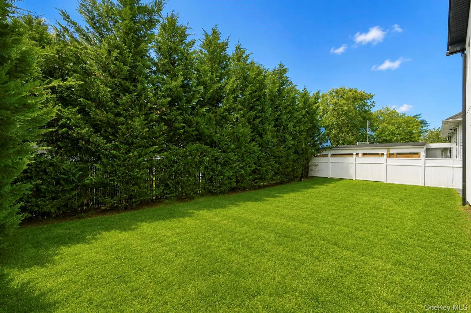 949 Midway, Hempstead, NY, 6 Bedrooms Bedrooms, 11 Rooms Rooms,4 BathroomsBathrooms,Residential,For Rent,Midway,0,1032182 949 Midway, Hempstead, NY, 6 Bedrooms Bedrooms, 11 Rooms Rooms,4 BathroomsBathrooms,Residential,For Rent,Midway,0,1032182