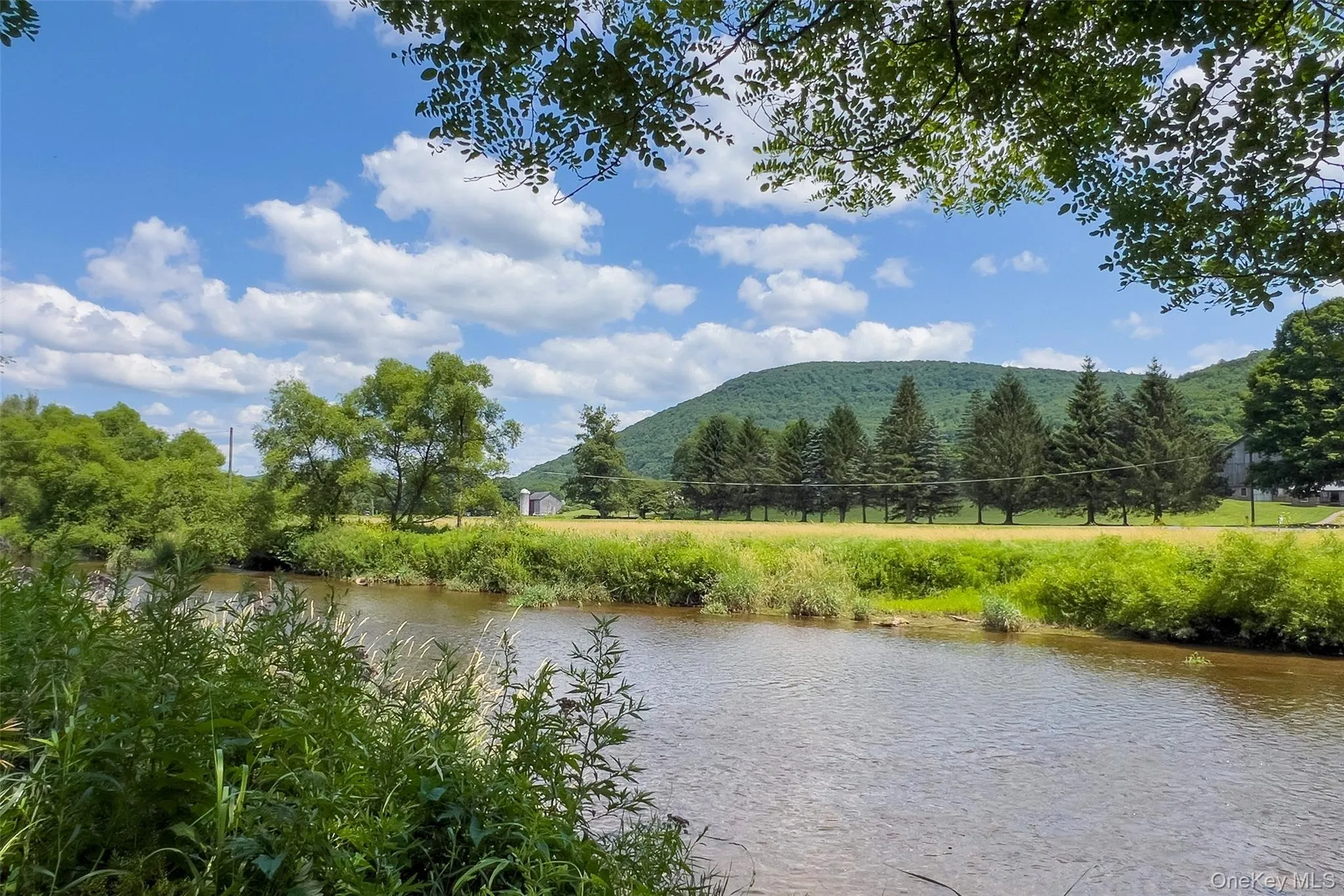 47220 State Highway 10, Delhi, NY, 4 Bedrooms Bedrooms, 8 Rooms Rooms,1 BathroomBathrooms,Residential,For Rent,State Highway 10,0,1032201 47220 State Highway 10, Delhi, NY, 4 Bedrooms Bedrooms, 8 Rooms Rooms,1 BathroomBathrooms,Residential,For Rent,State Highway 10,0,1032201