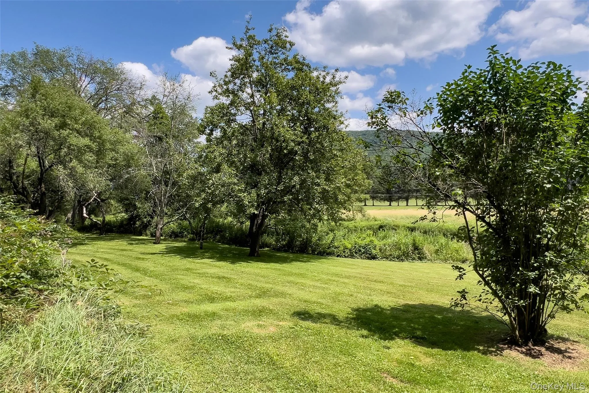 47220 State Highway 10, Delhi, NY, 4 Bedrooms Bedrooms, 8 Rooms Rooms,1 BathroomBathrooms,Residential,For Rent,State Highway 10,0,1032201 47220 State Highway 10, Delhi, NY, 4 Bedrooms Bedrooms, 8 Rooms Rooms,1 BathroomBathrooms,Residential,For Rent,State Highway 10,0,1032201