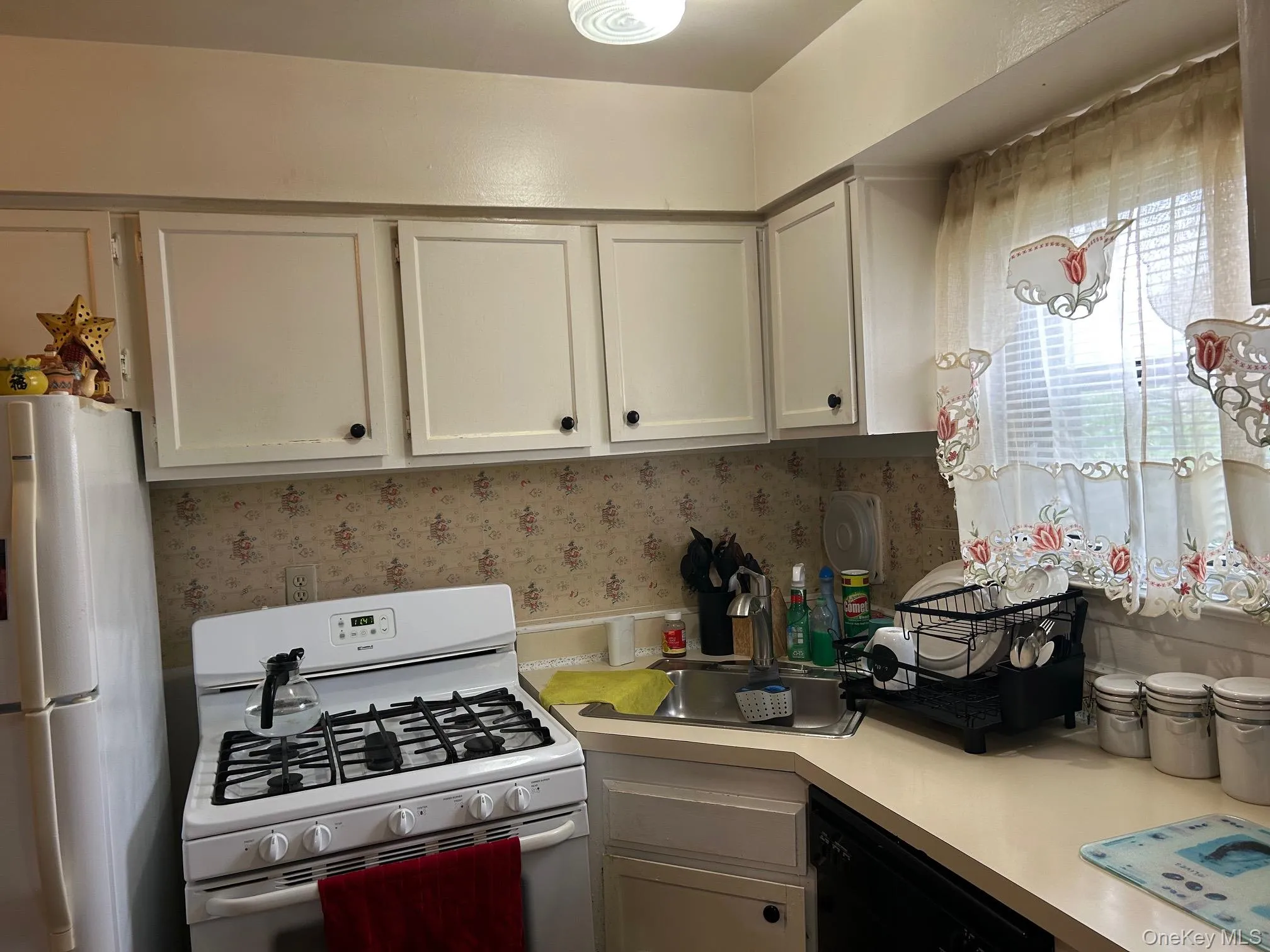 107 Sneden Place, Ramapo, NY, 1 Bedroom Bedrooms, 7 Rooms Rooms,1 BathroomBathrooms,Residential,For Rent,Sneden,0,1032214 107 Sneden Place, Ramapo, NY, 1 Bedroom Bedrooms, 7 Rooms Rooms,1 BathroomBathrooms,Residential,For Rent,Sneden,0,1032214