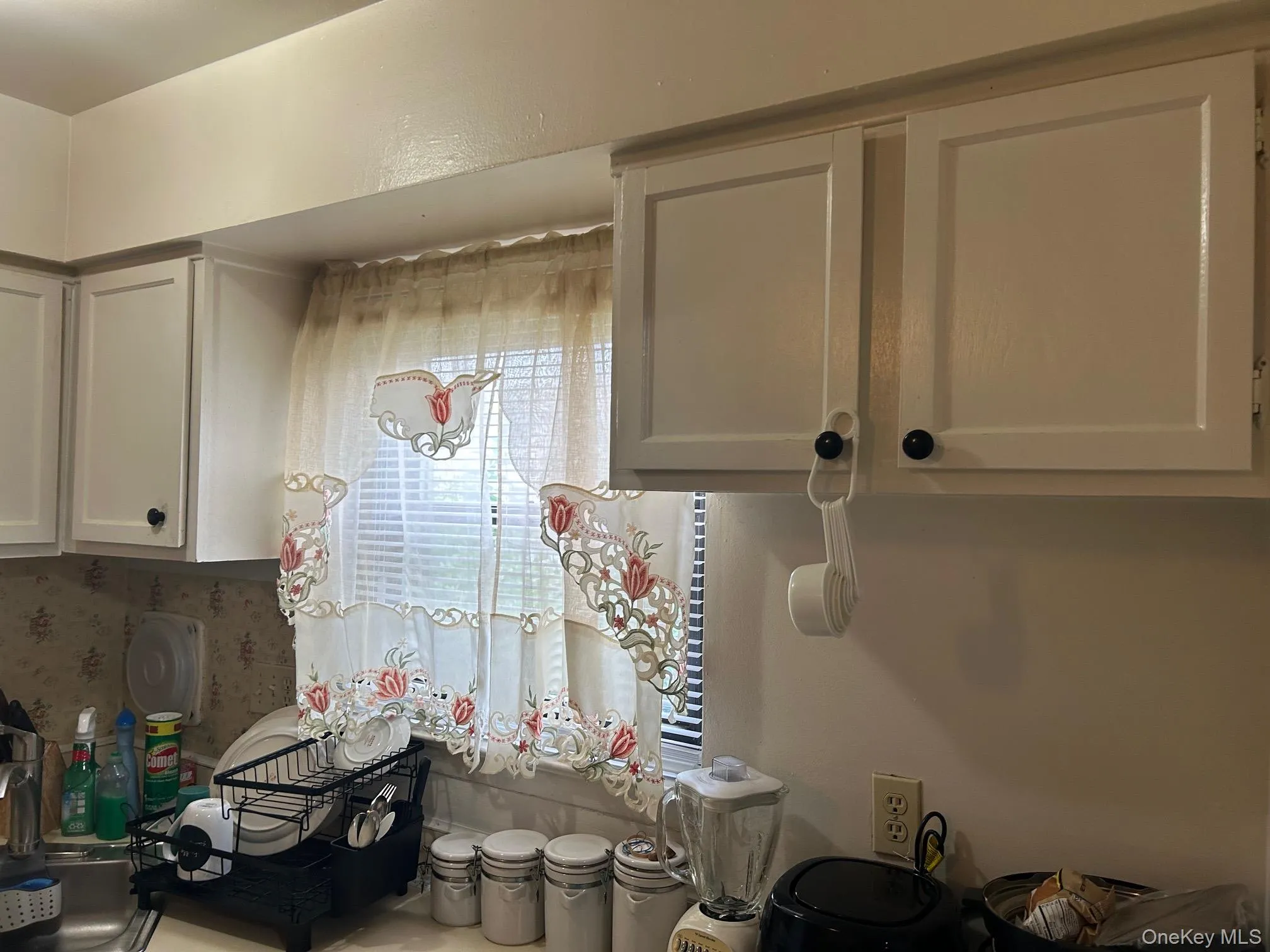107 Sneden Place, Ramapo, NY, 1 Bedroom Bedrooms, 7 Rooms Rooms,1 BathroomBathrooms,Residential,For Rent,Sneden,0,1032214 107 Sneden Place, Ramapo, NY, 1 Bedroom Bedrooms, 7 Rooms Rooms,1 BathroomBathrooms,Residential,For Rent,Sneden,0,1032214