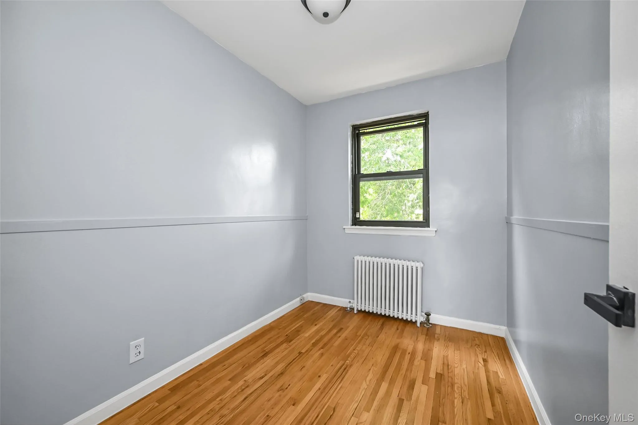 Room featuring wood-finish flooring, a double-hung window with dark trim, a white radiator, light gray wall paint, and white trim Room featuring wood-finish flooring, a double-hung window with dark trim, a white radiator, light gray wall paint, and white trim