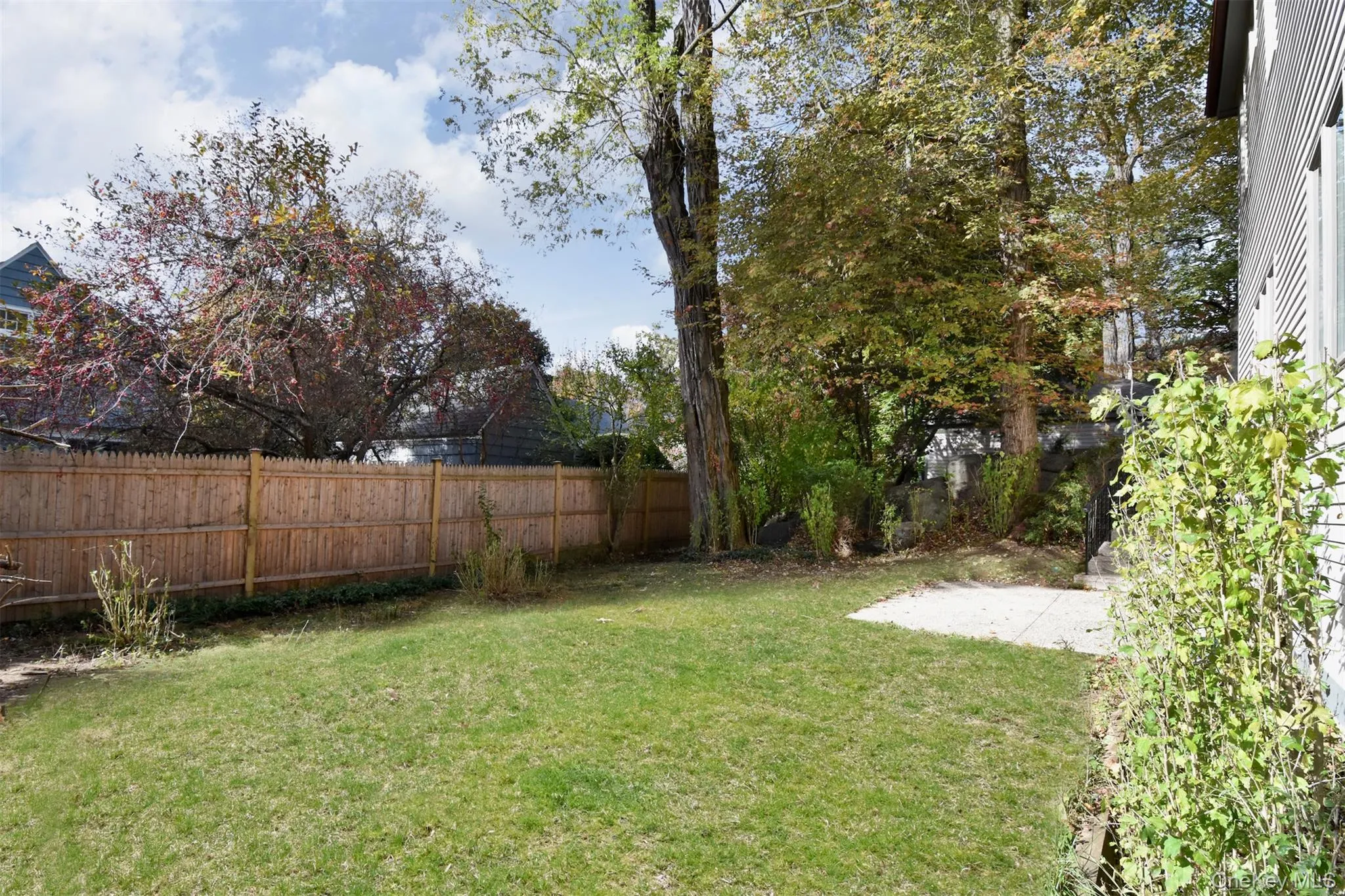 View of yard with a patio area View of yard with a patio area