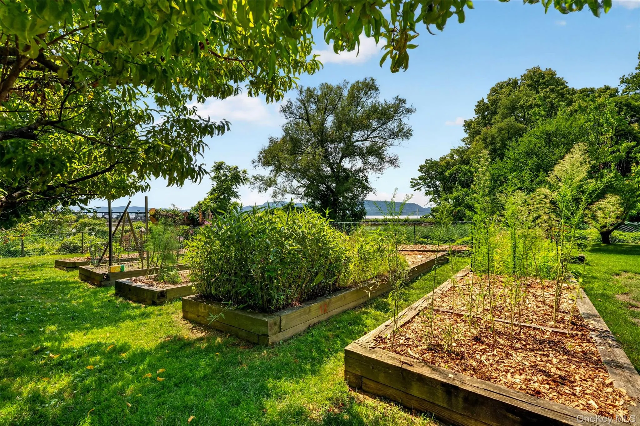 Community Garden Community Garden