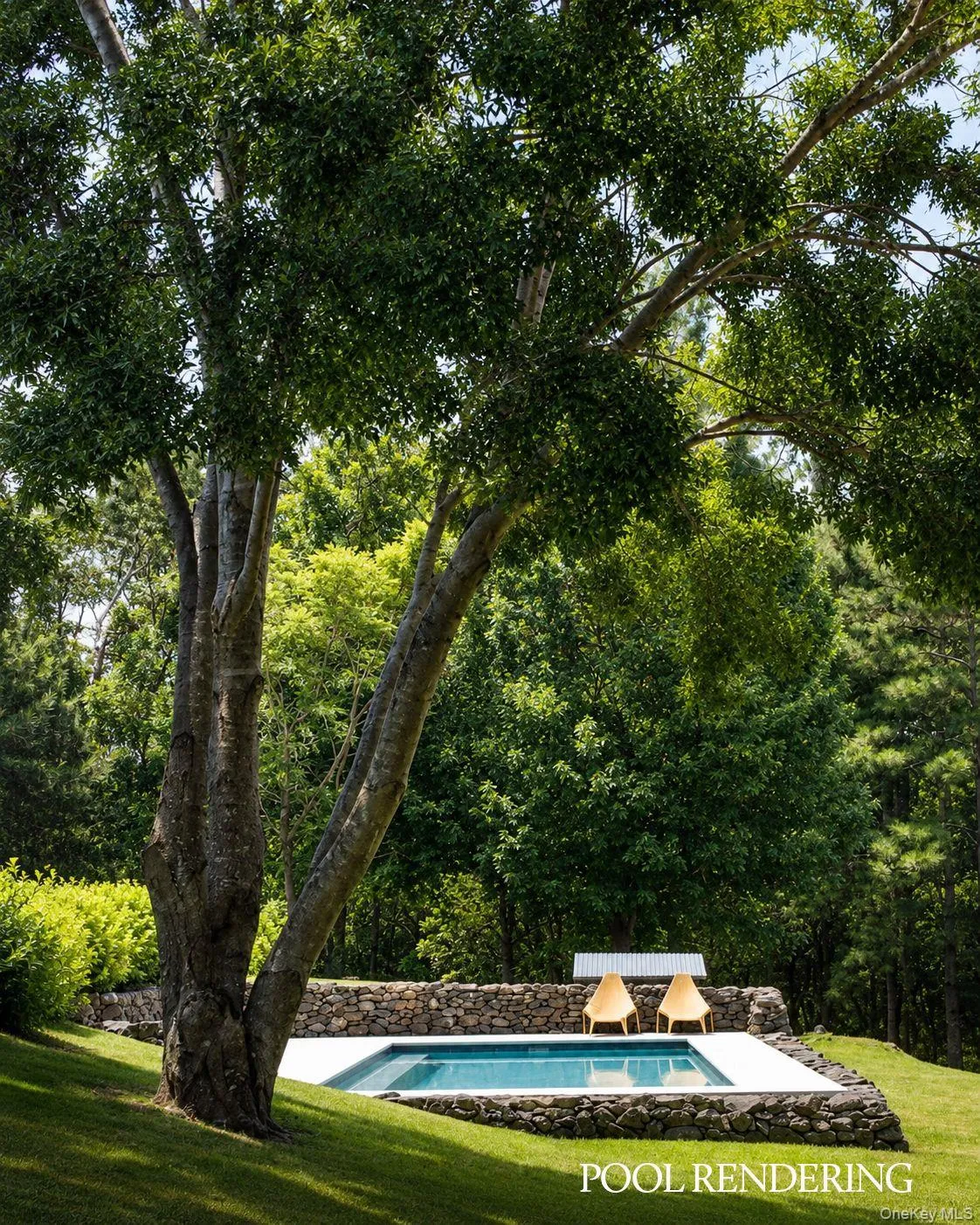 Pool Rendering Pool Rendering