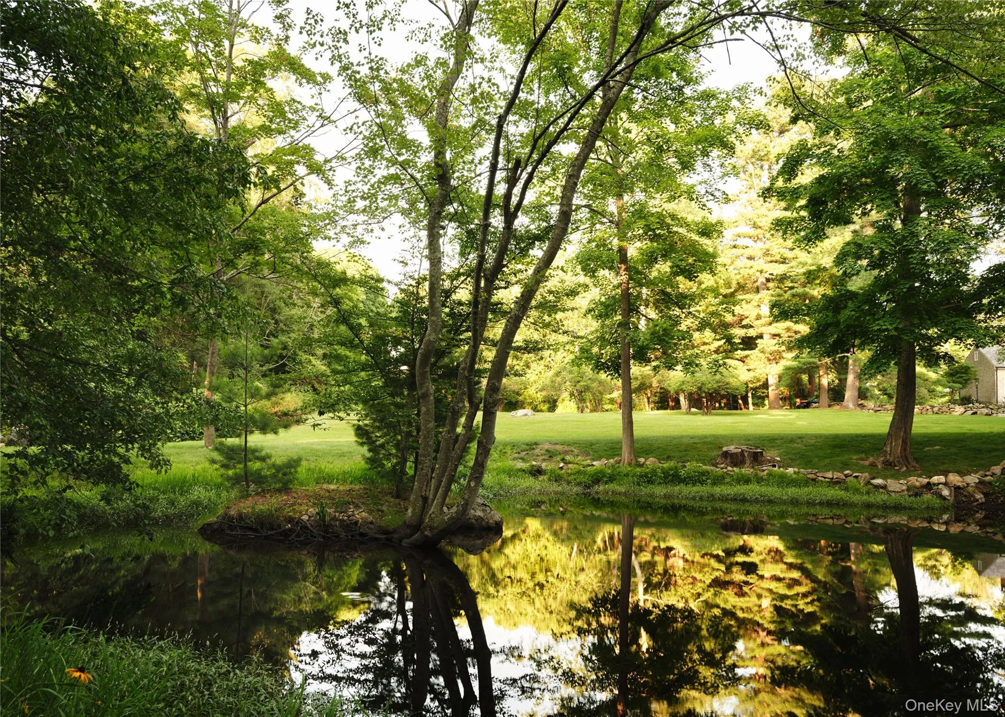 156 Old Stone Hill Road, Pound Ridge, NY, 4 Bedrooms Bedrooms, 14 Rooms Rooms,3 BathroomsBathrooms,Residential,For Rent,Old Stone Hill,0,1032314 156 Old Stone Hill Road, Pound Ridge, NY, 4 Bedrooms Bedrooms, 14 Rooms Rooms,3 BathroomsBathrooms,Residential,For Rent,Old Stone Hill,0,1032314